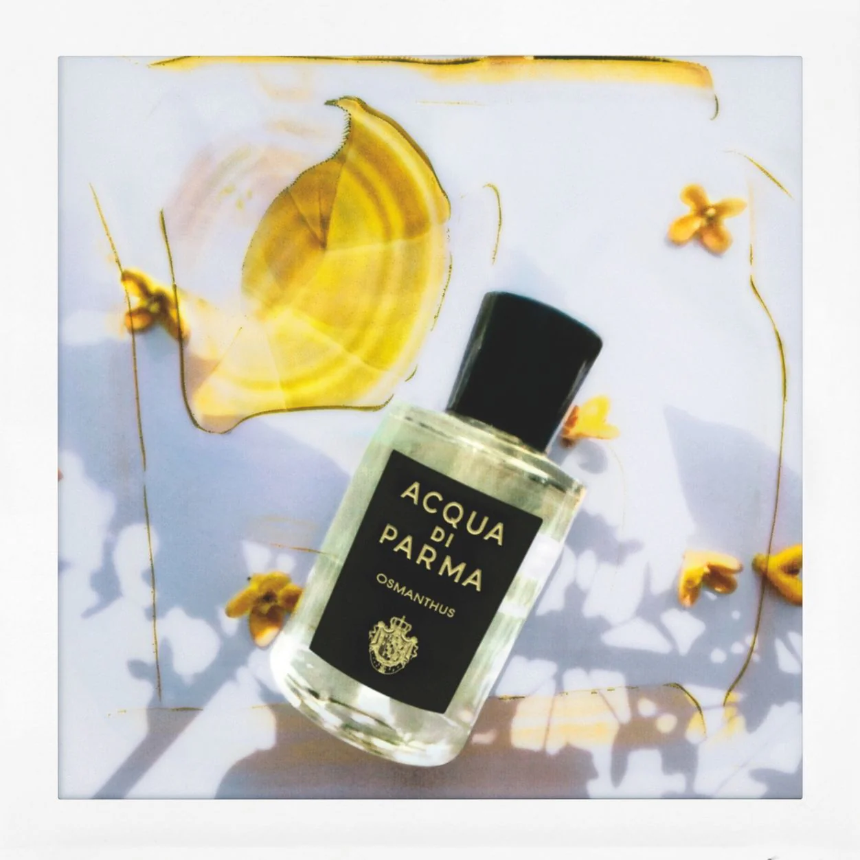 Osmanthus Eau de Parfum - Image 5
