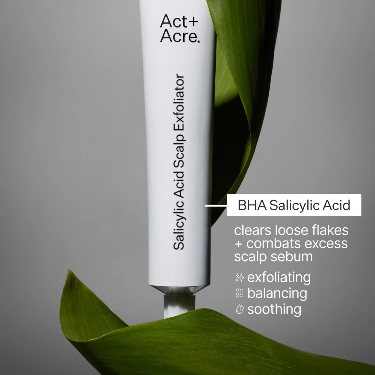 Salicylic Acid Scalp Exfoliator - Image 9