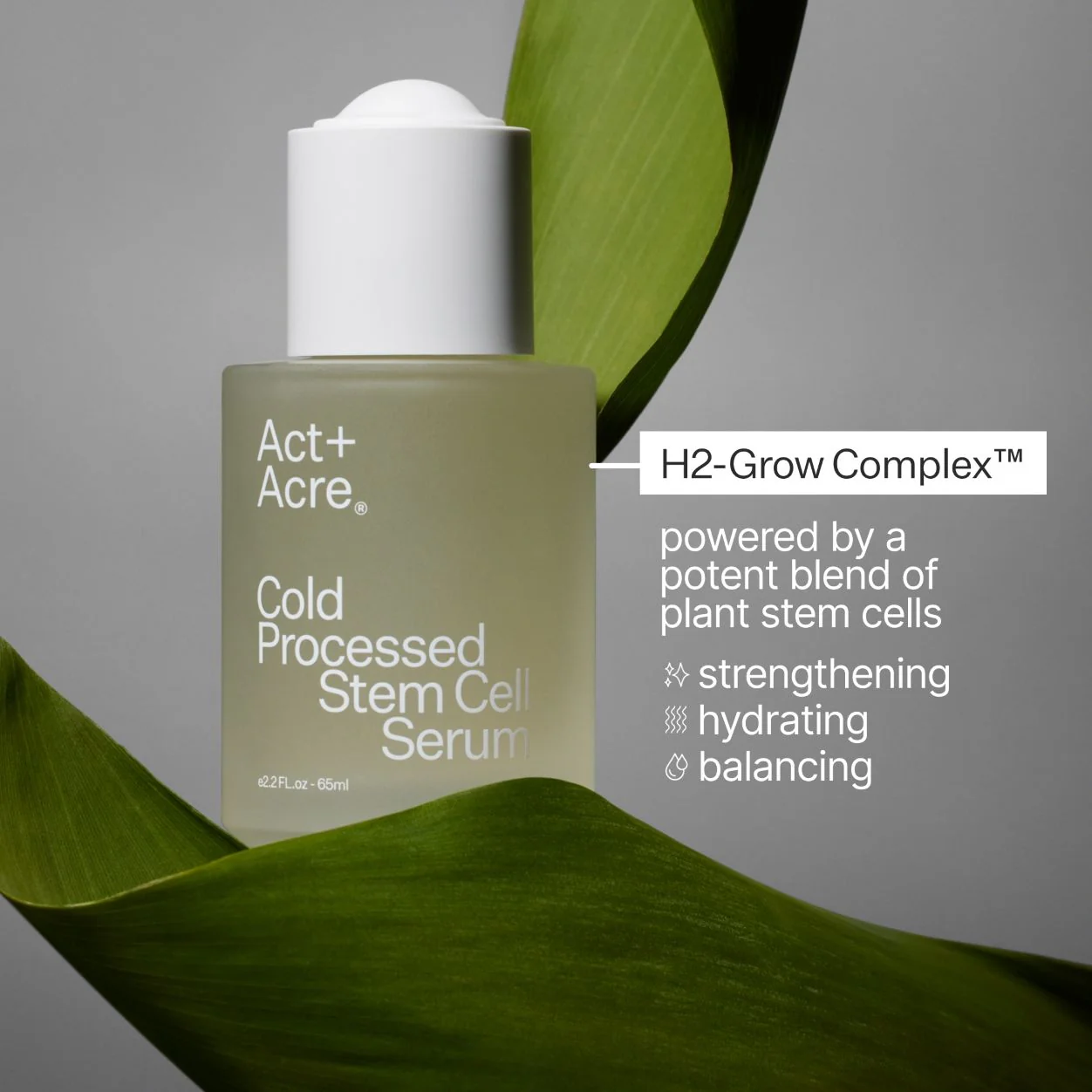 Cold Processed Stem Cell Serum - Image 10