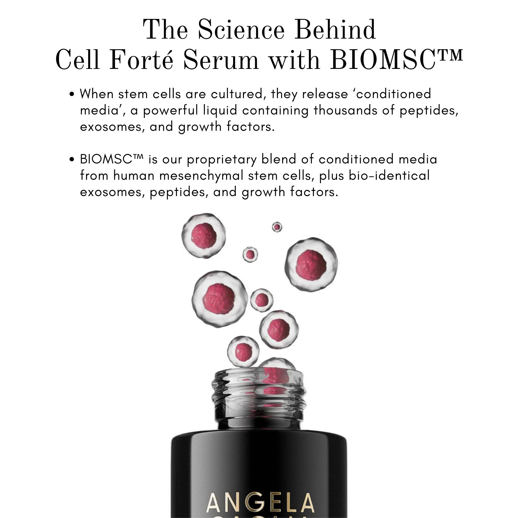 Cell Forté Serum with BIOMSC™ - Image 8