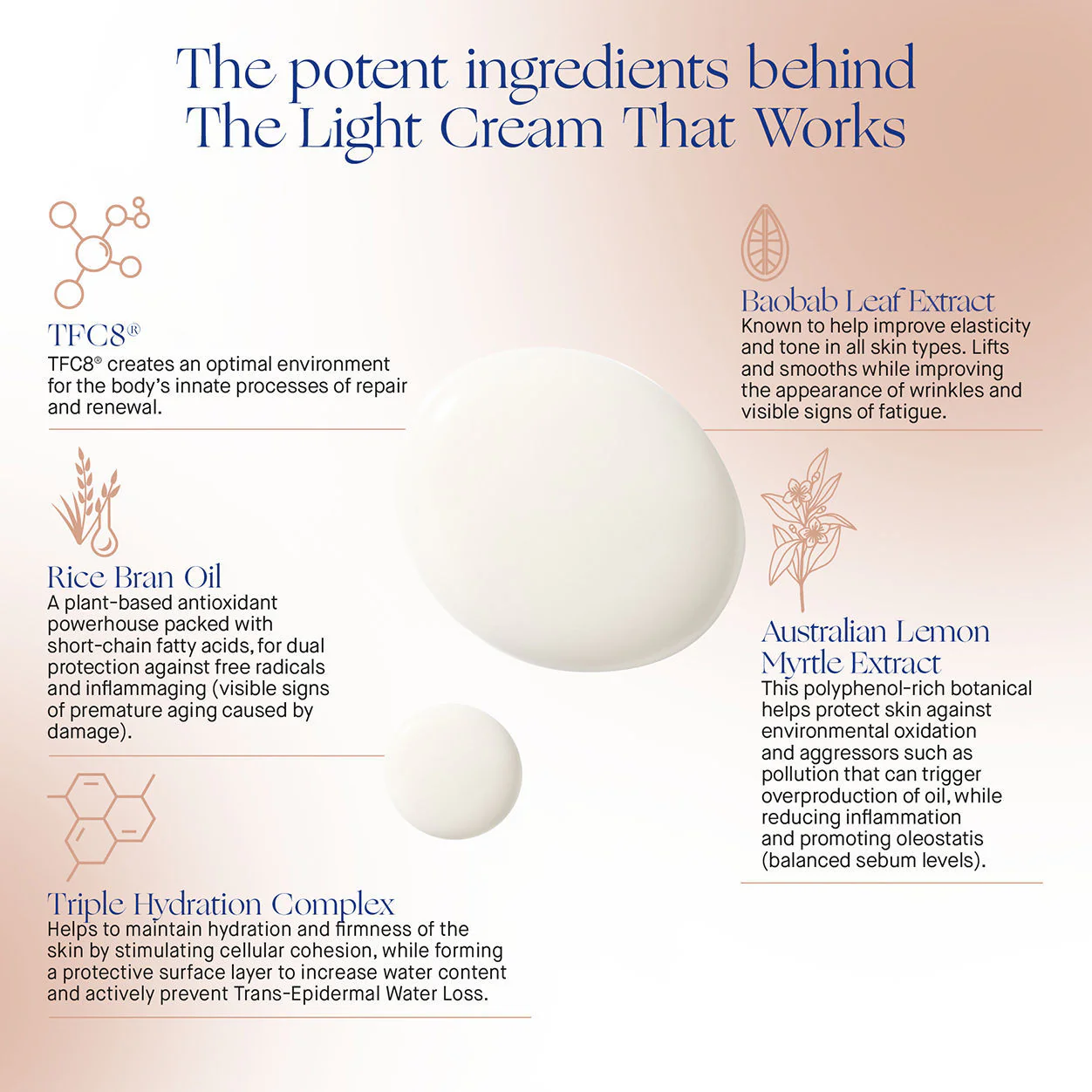The Light Cream - Image 12