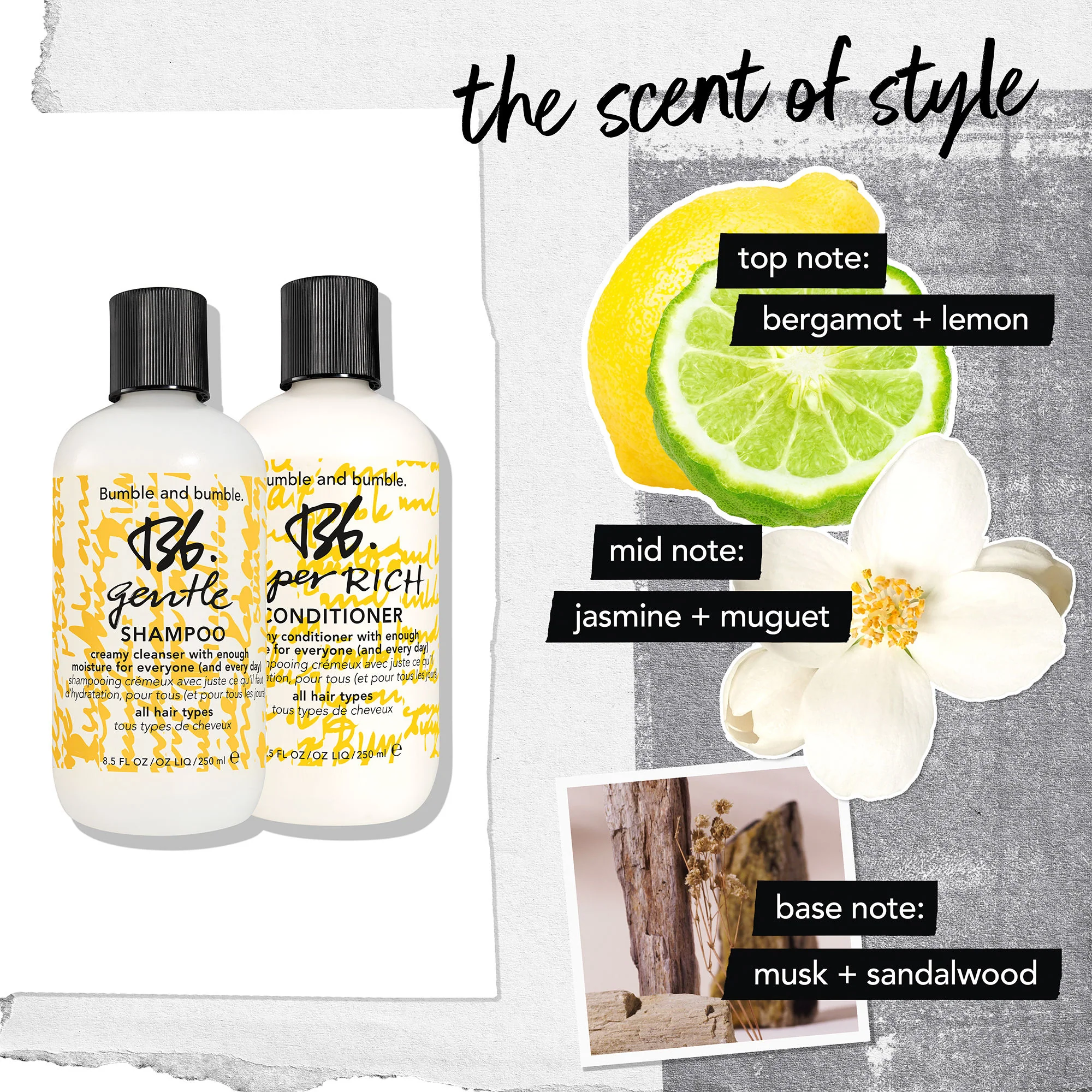 Gentle Shampoo - Image 5