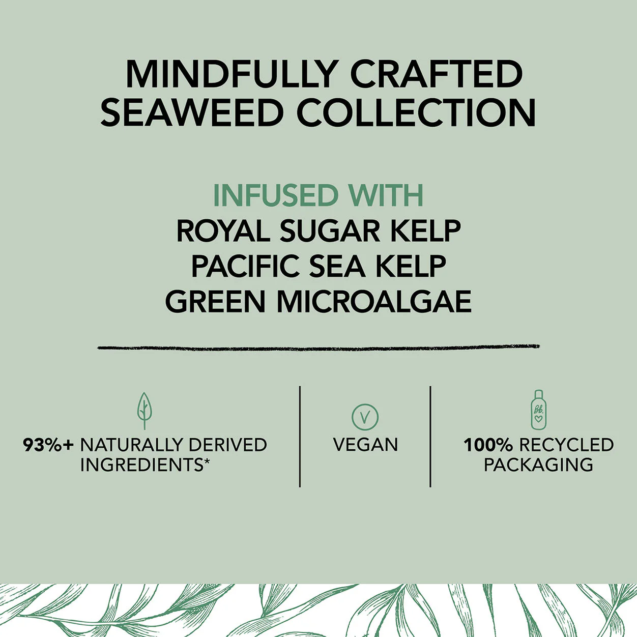 Seaweed Shampoo - Image 6