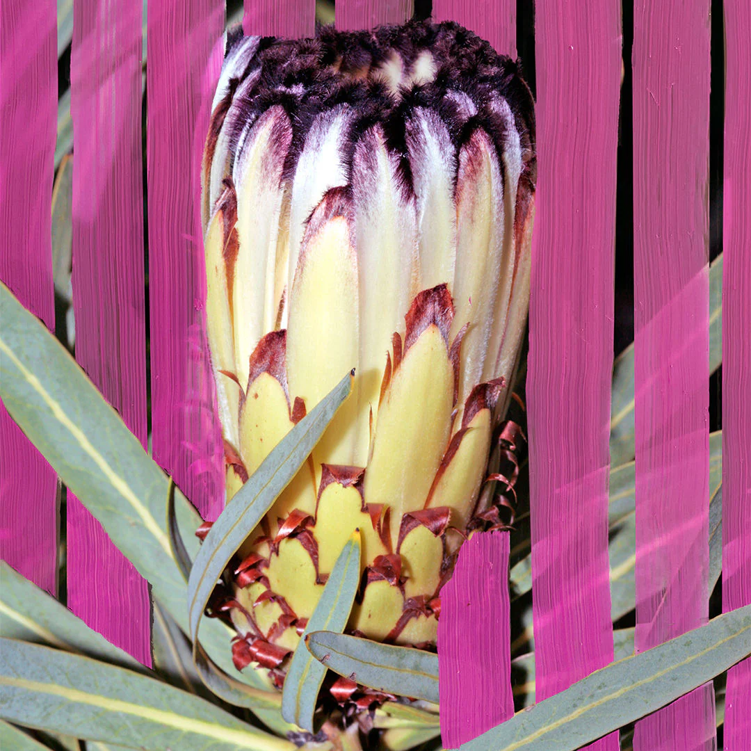 Inflorescence Eau de Parfum - Image 8