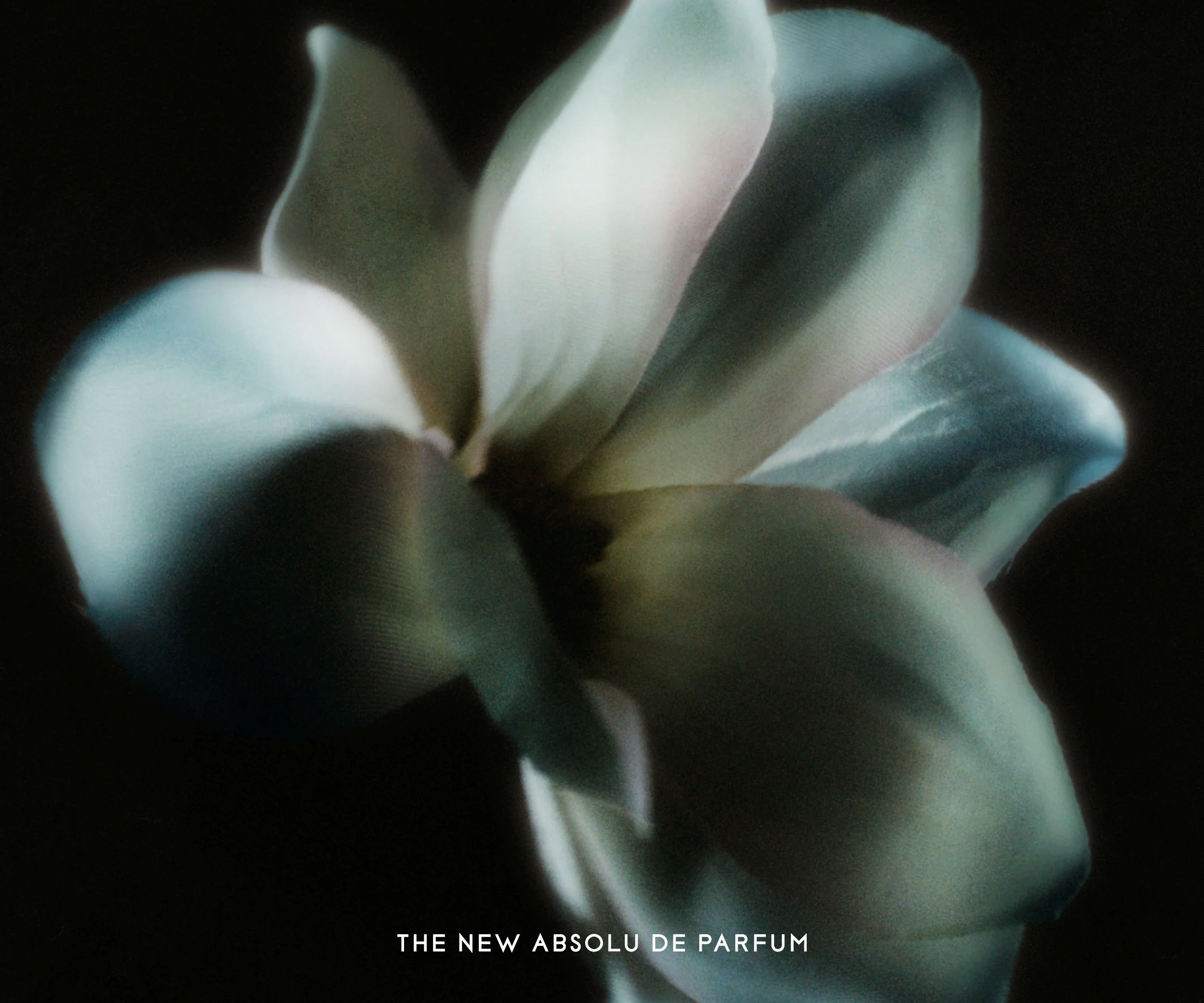 Mojave Ghost Absolu Parfum - Image 4