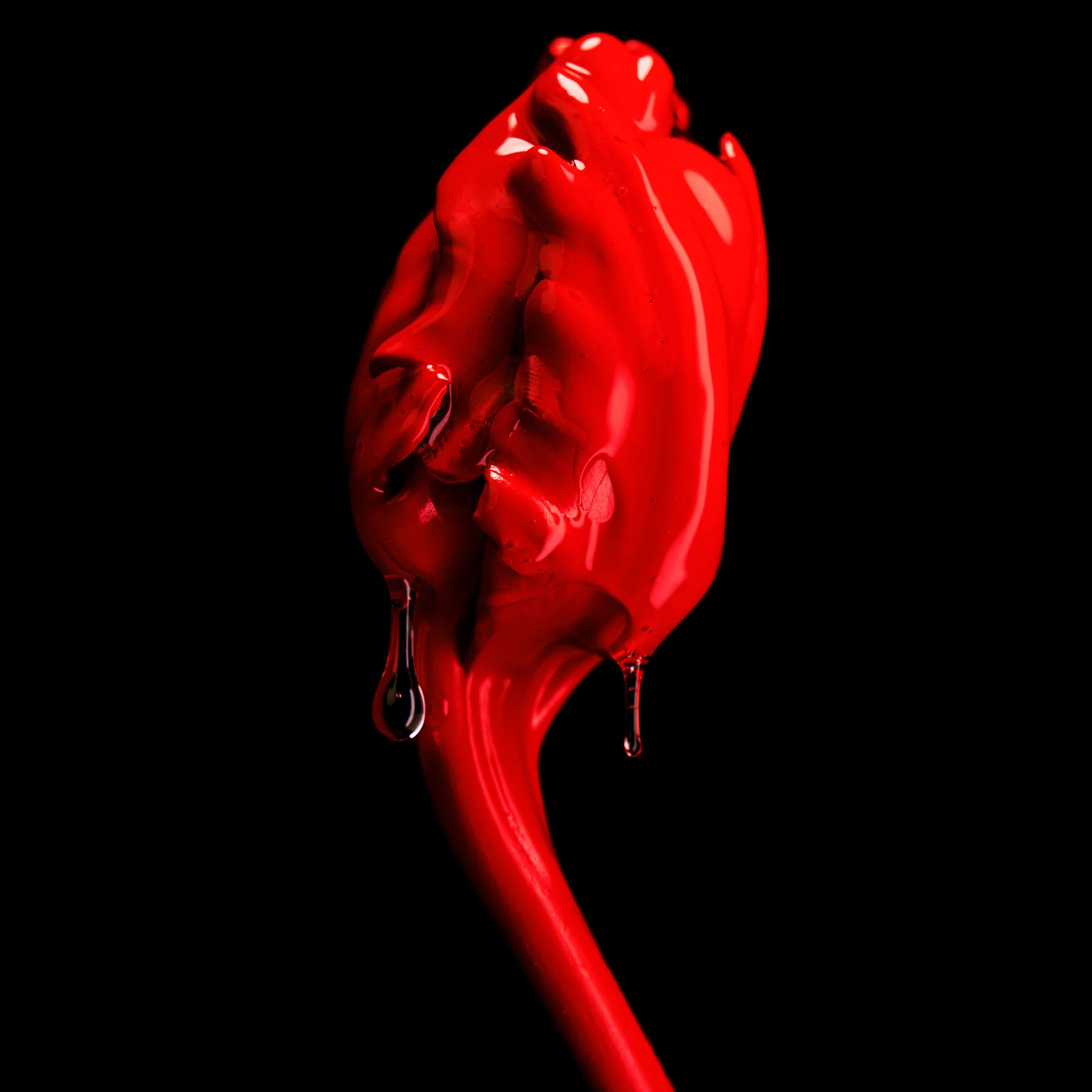 Rose of No Man's Land Absolu de Parfum - Image 6