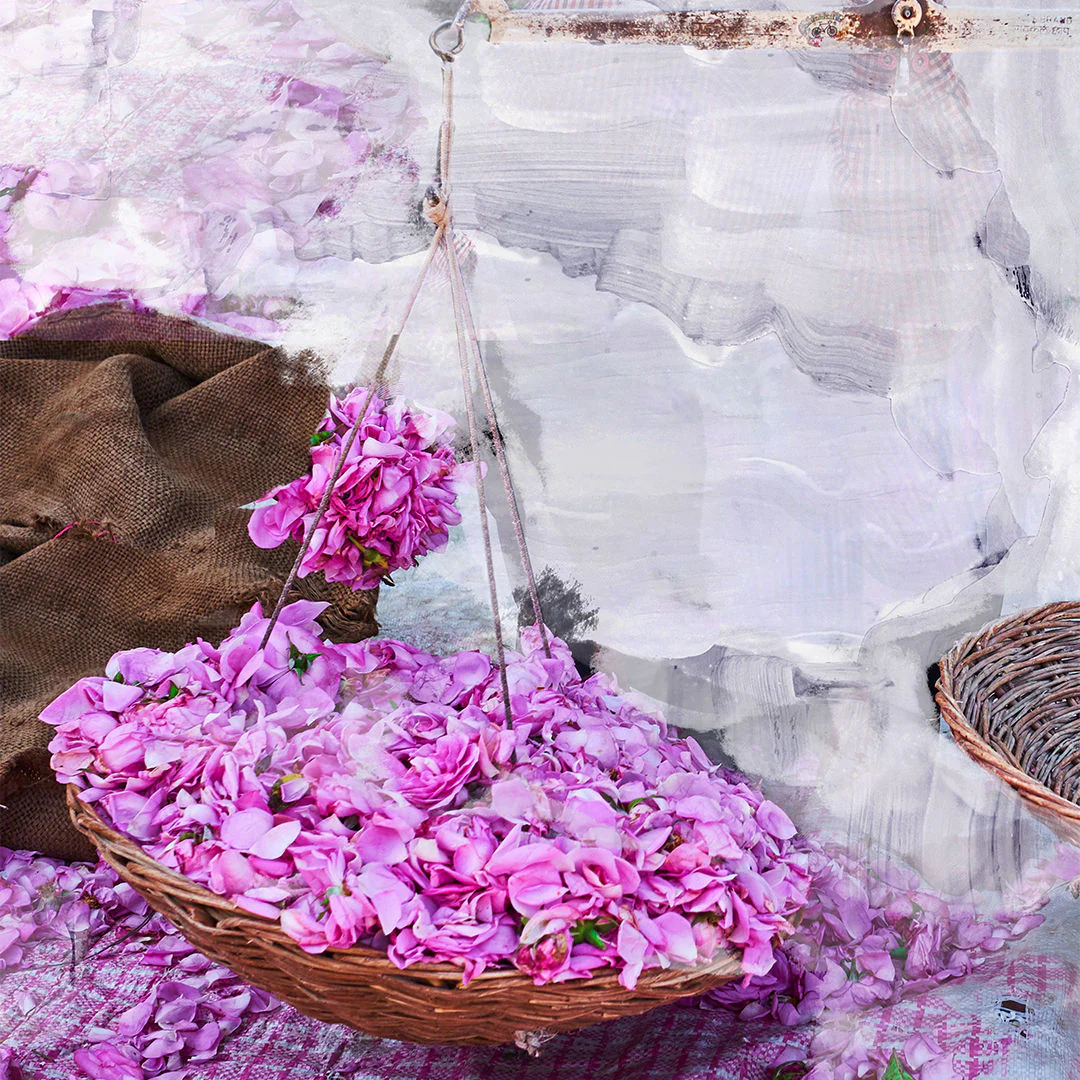 Young Rose Eau de Parfum - Image 4