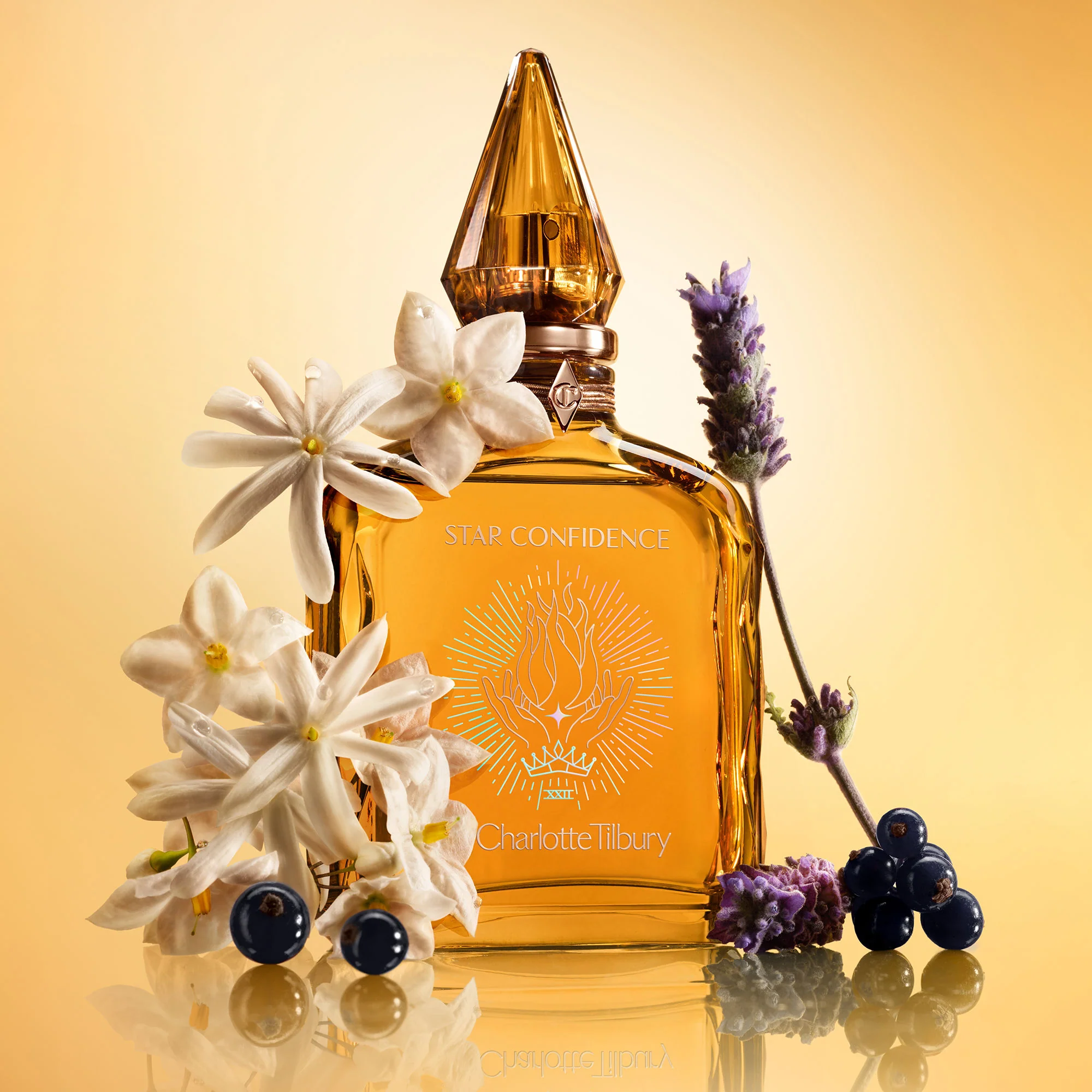 Charlotte's Fragrance Collection of Emotions - Image 2