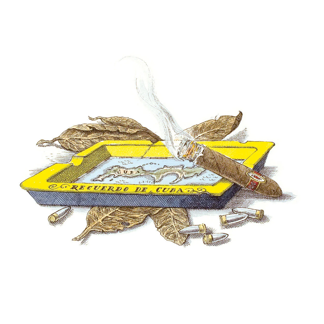 Ernesto Diffuser - Image 5