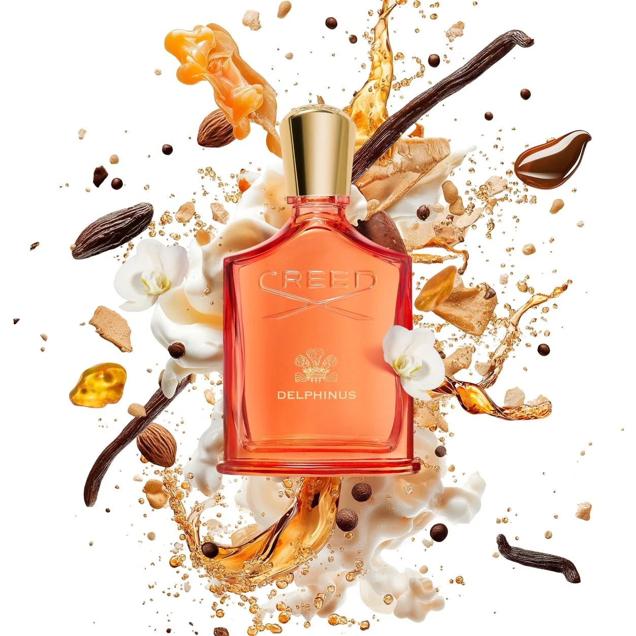 Delphinus Eau de Parfum - Image 5