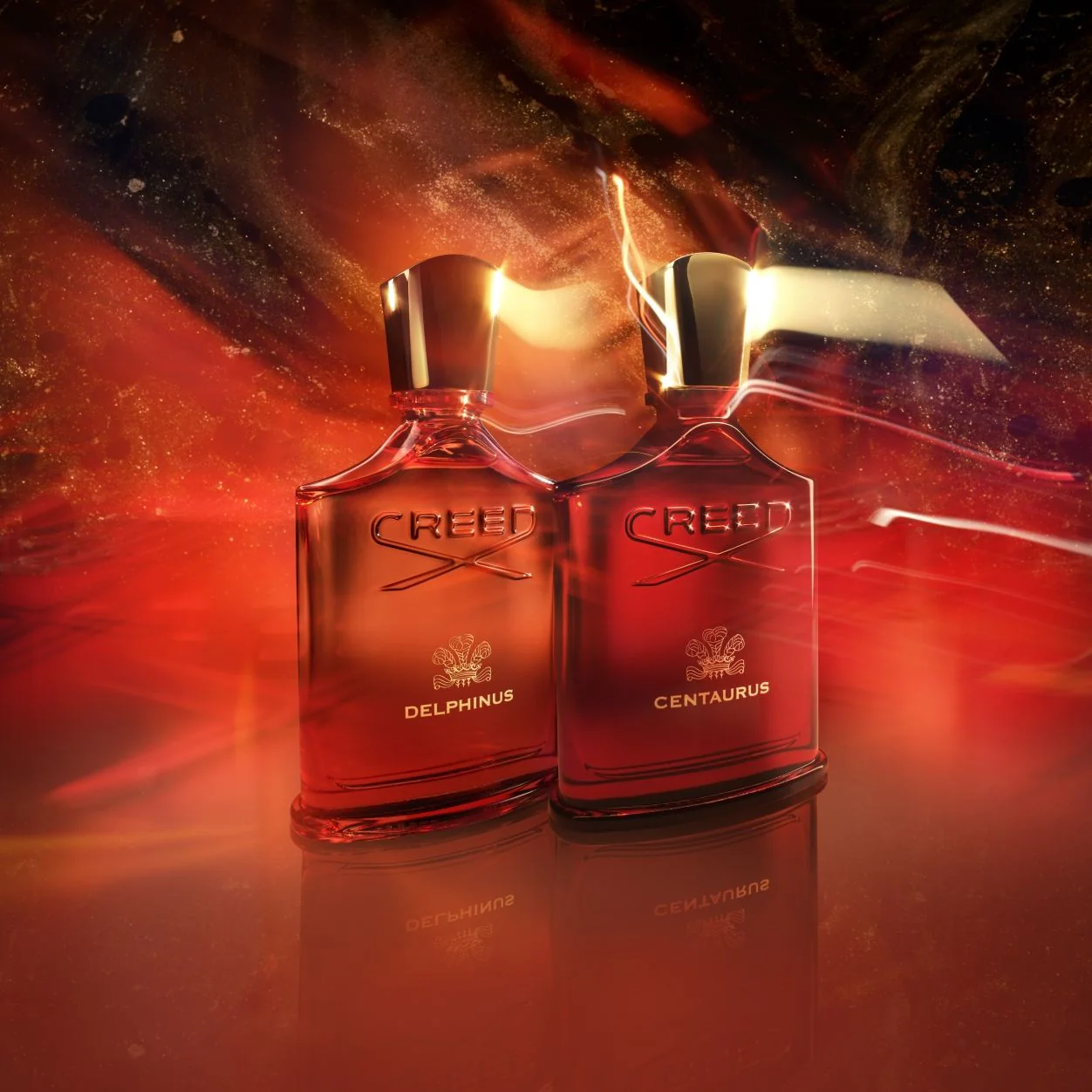 Delphinus Eau de Parfum - Image 6