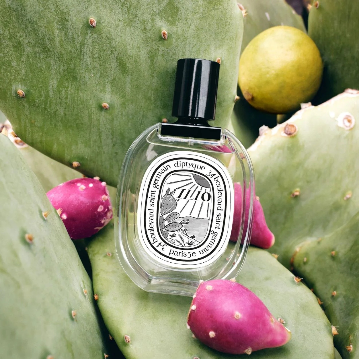 Ilio Eau De Toilette - Image 4