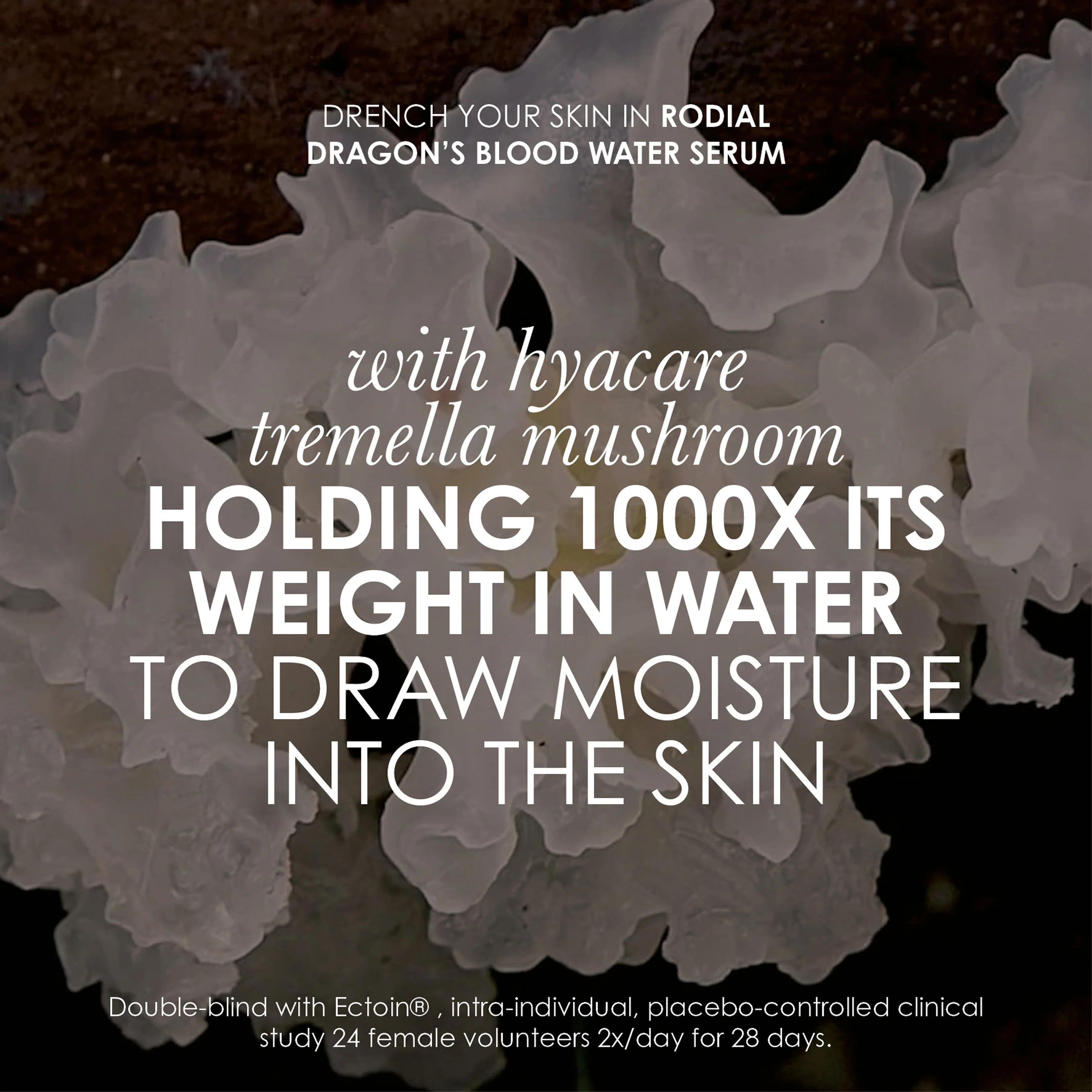 Dragon's Blood Hydration Heroes Exclusive Kit - Image 4