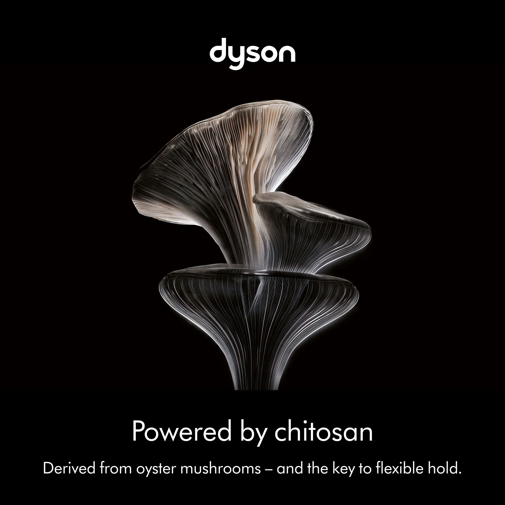 Chitosan Multi-use Styling Spray - Image 9