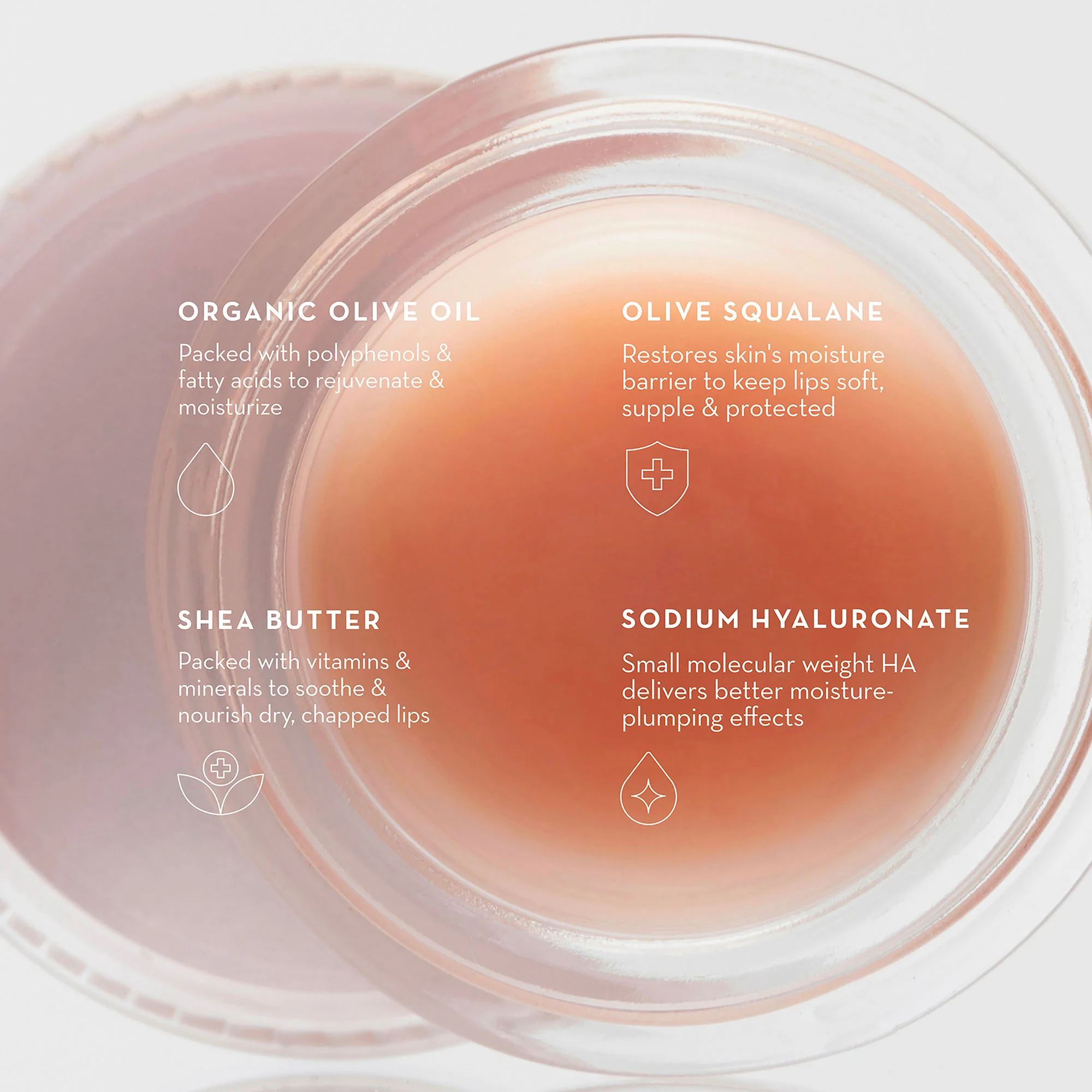 Olive Lip Butter Balm - Image 7