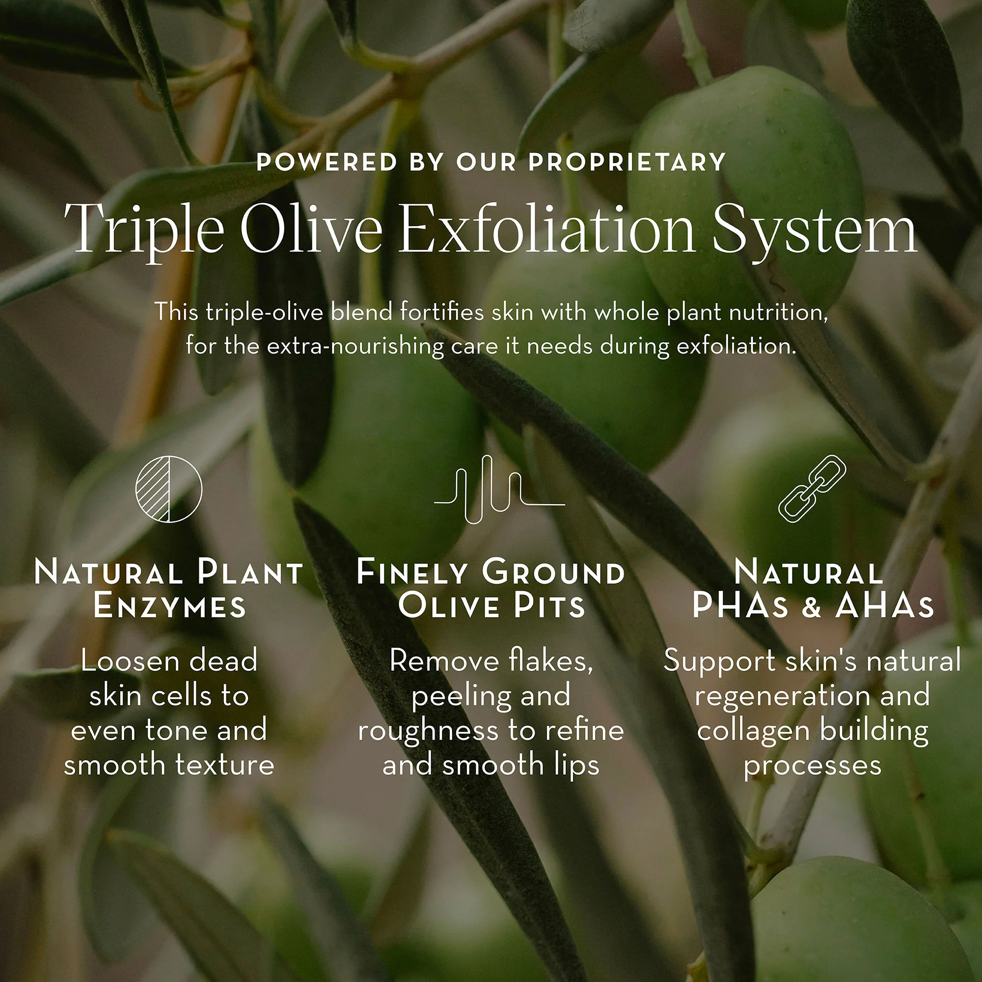 Triple Olive Lip Polish - Image 6