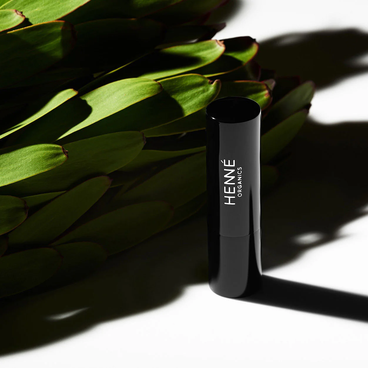 Luxury Lip Balm V2 - Image 3