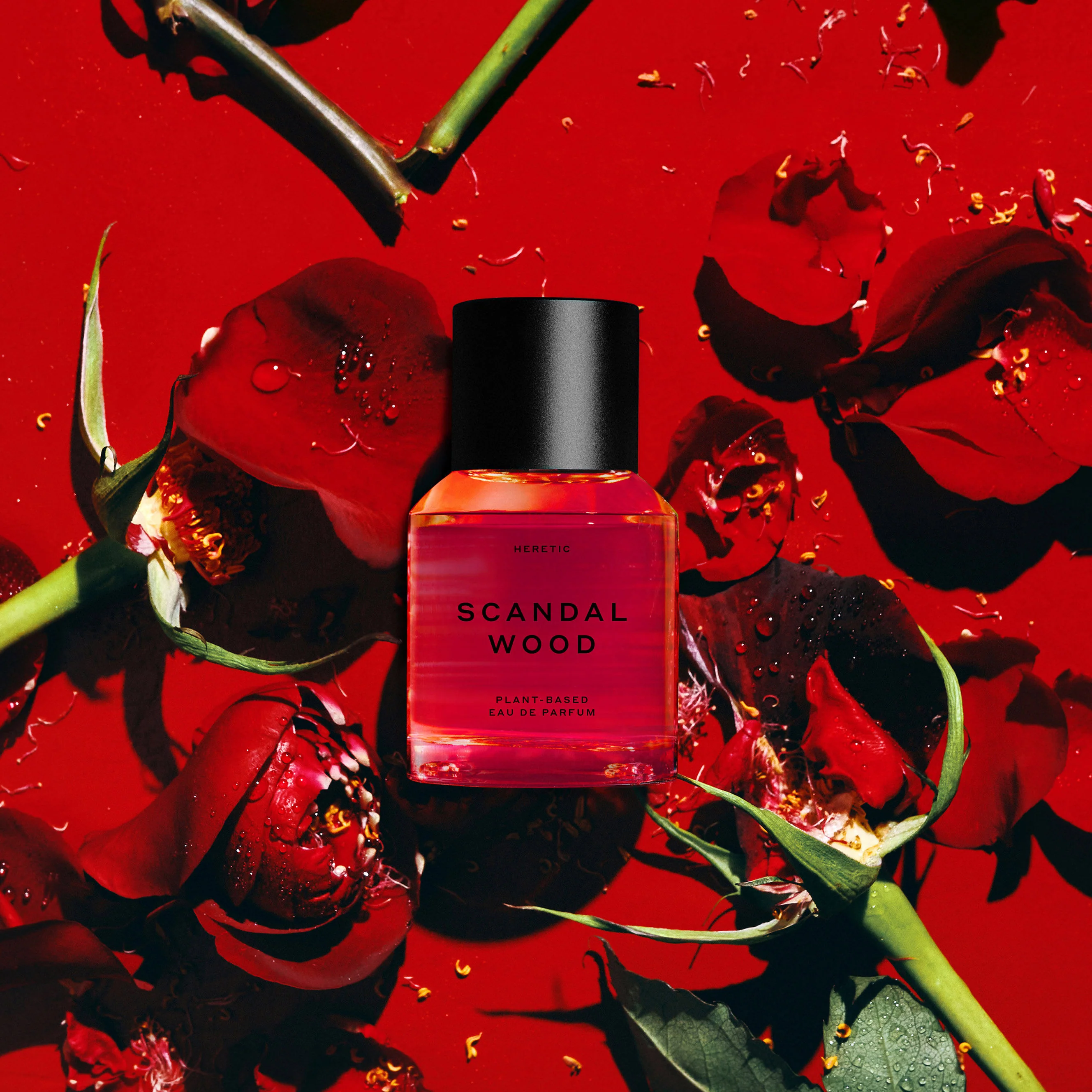 Scandalwood Eau de Parfum - Image 7