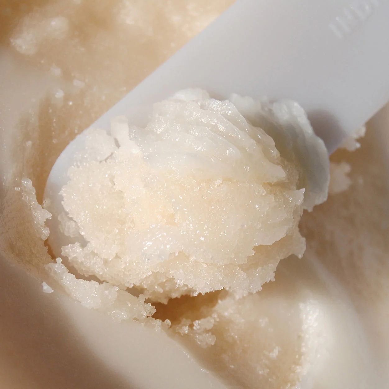 Coconut Citrus Body Scrub - Image 4