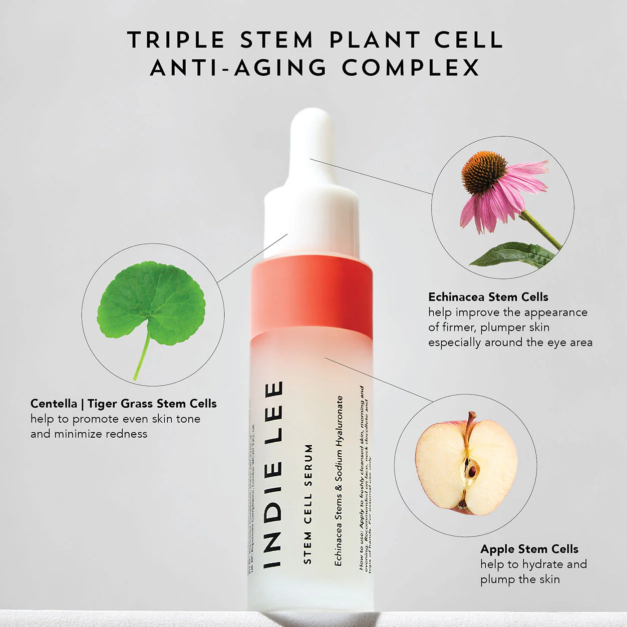 Stem Cell Serum - Image 5