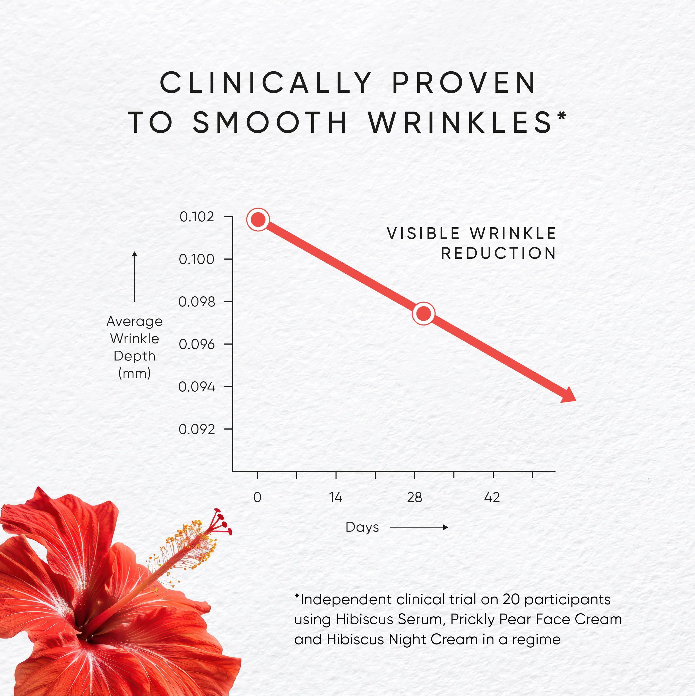 Hibiscus Serum With Myoxinol - Image 5