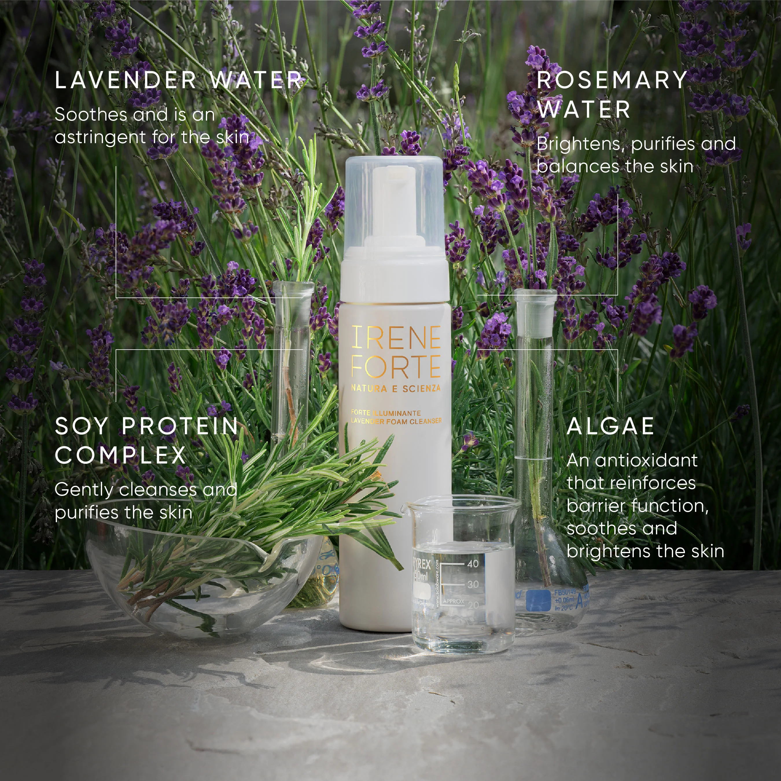 Lavender Foam Cleanser - Image 9