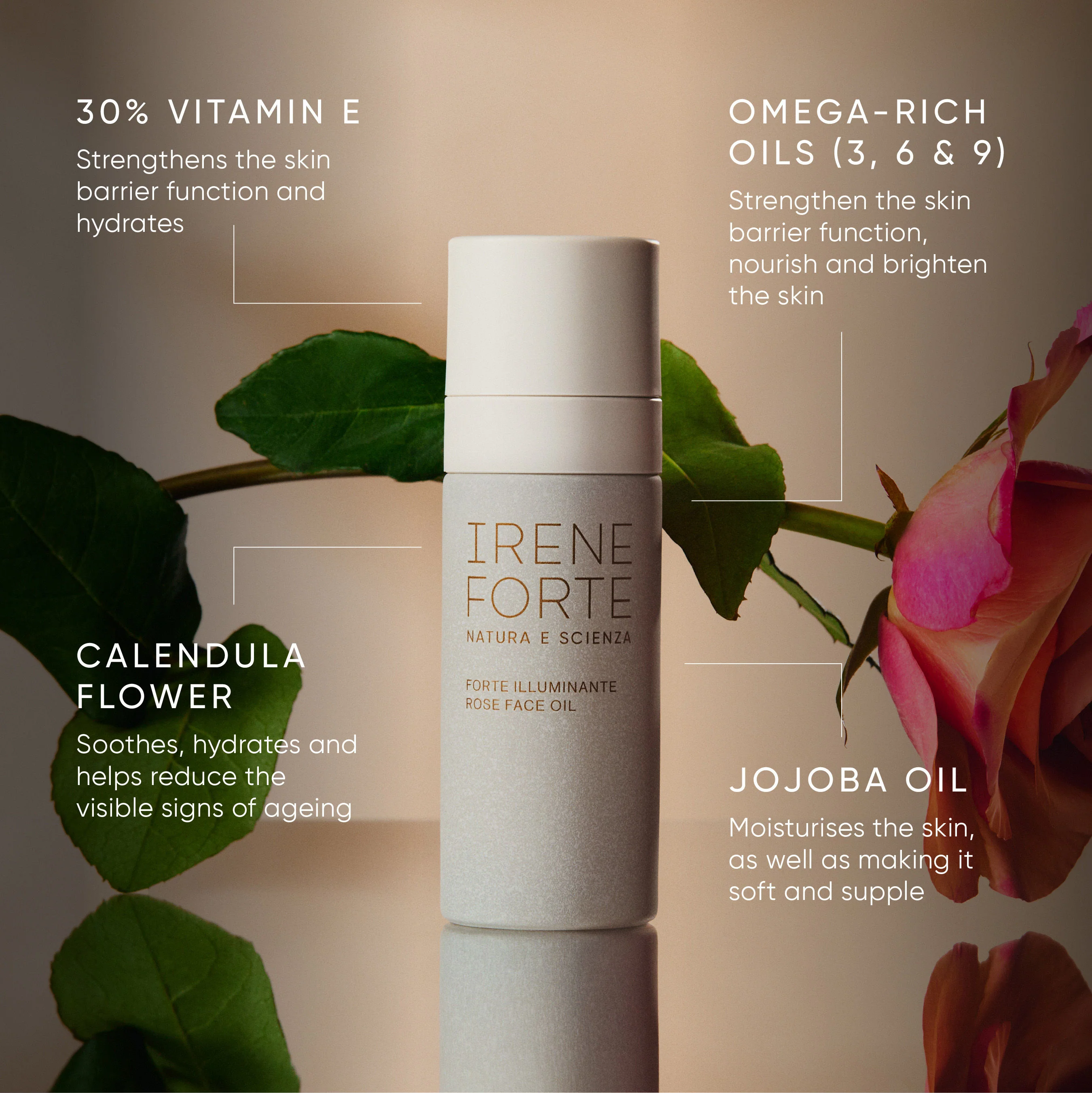 Rose Face Oil - Image 9