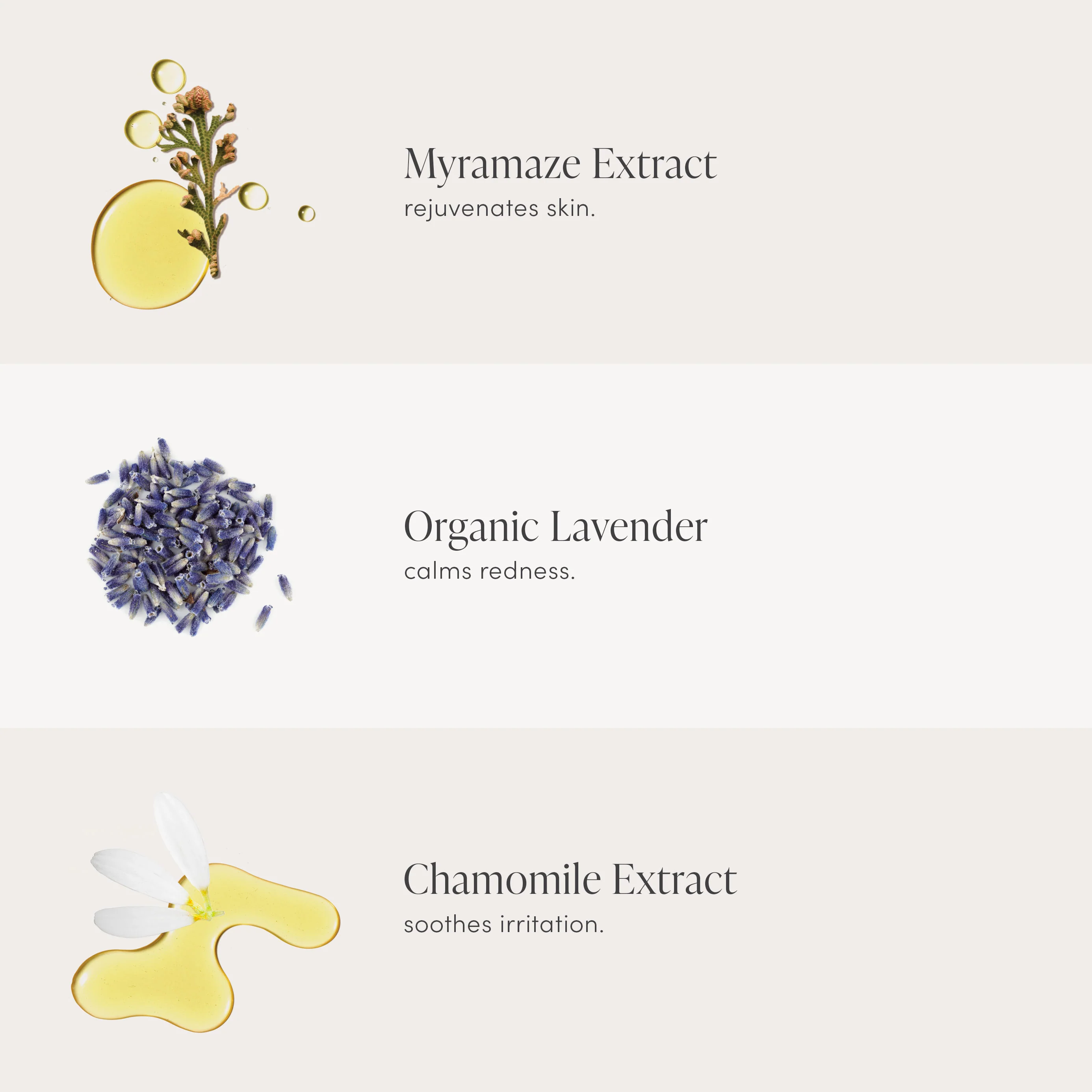 Calming Lavender Hydration Spray - Image 3