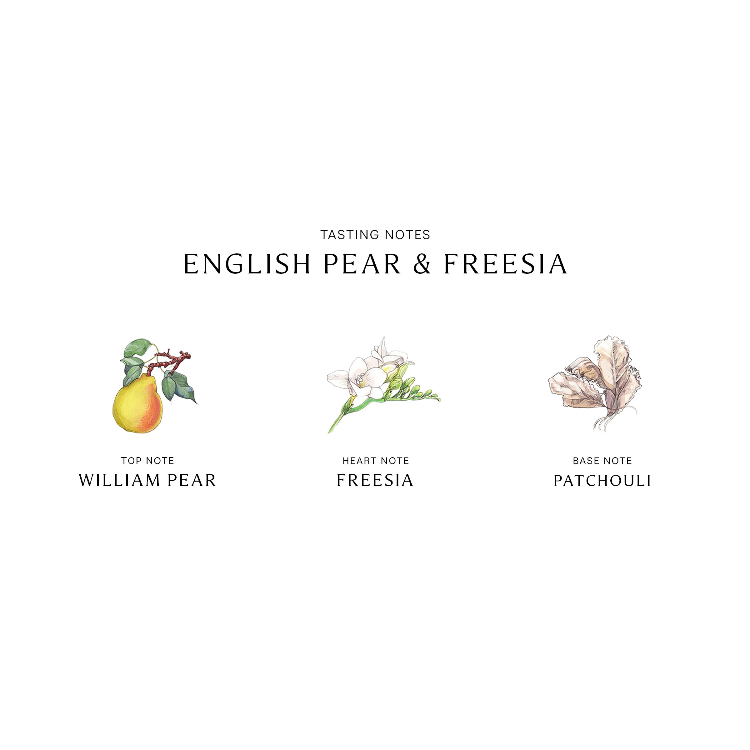 English Pear and Freesia Cologne - Image 4