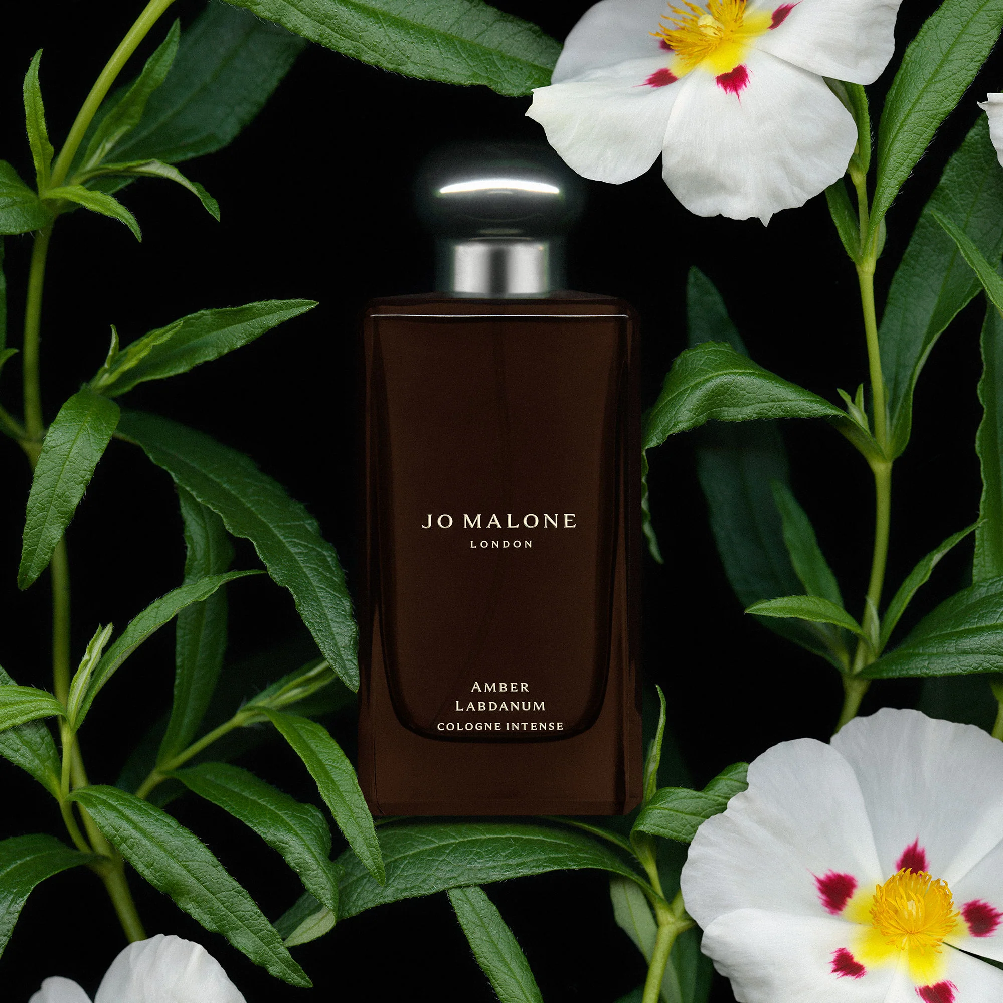 Amber Labdanum Cologne Intense - Image 5