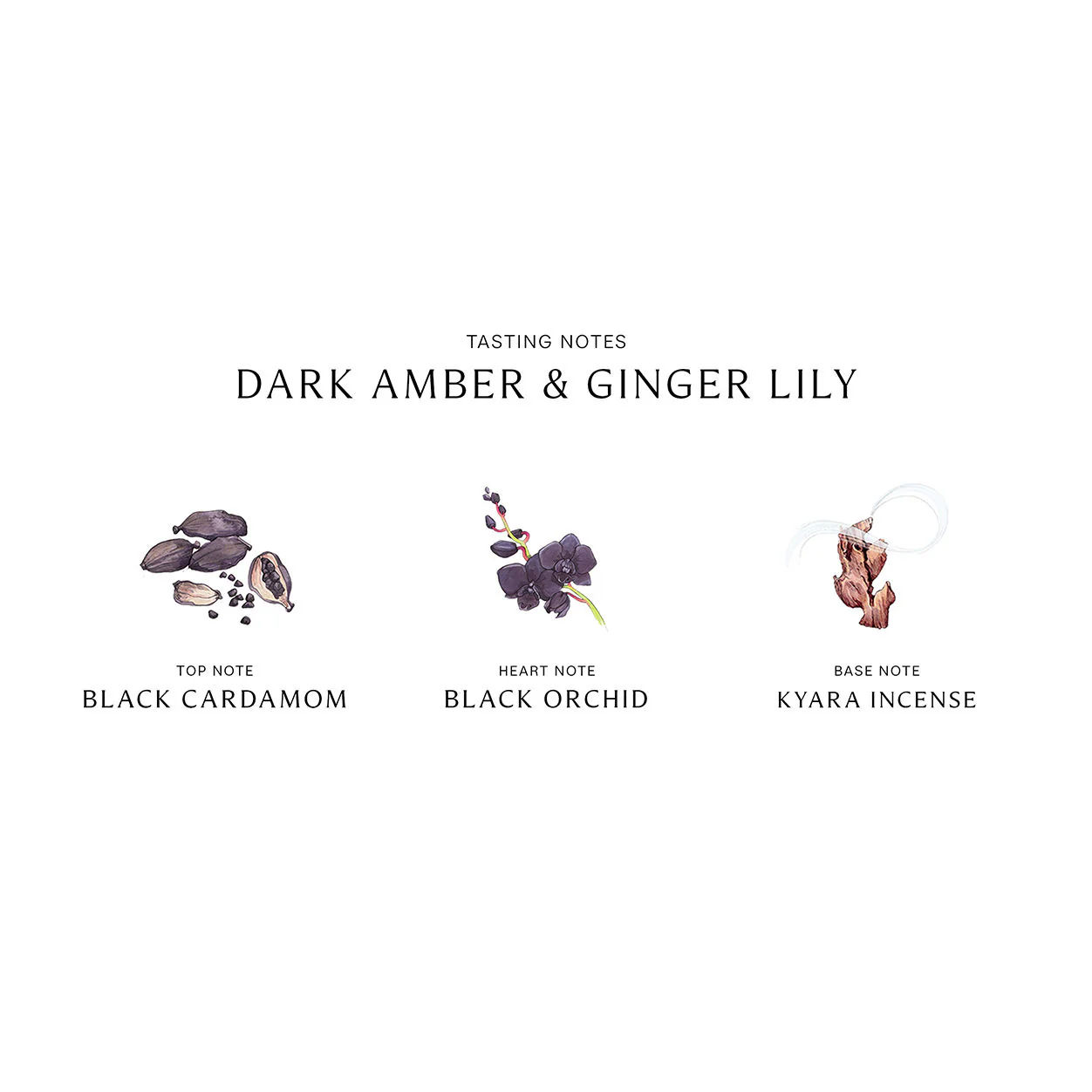 Dark Amber and Ginger Lily Home Candle - Image 4