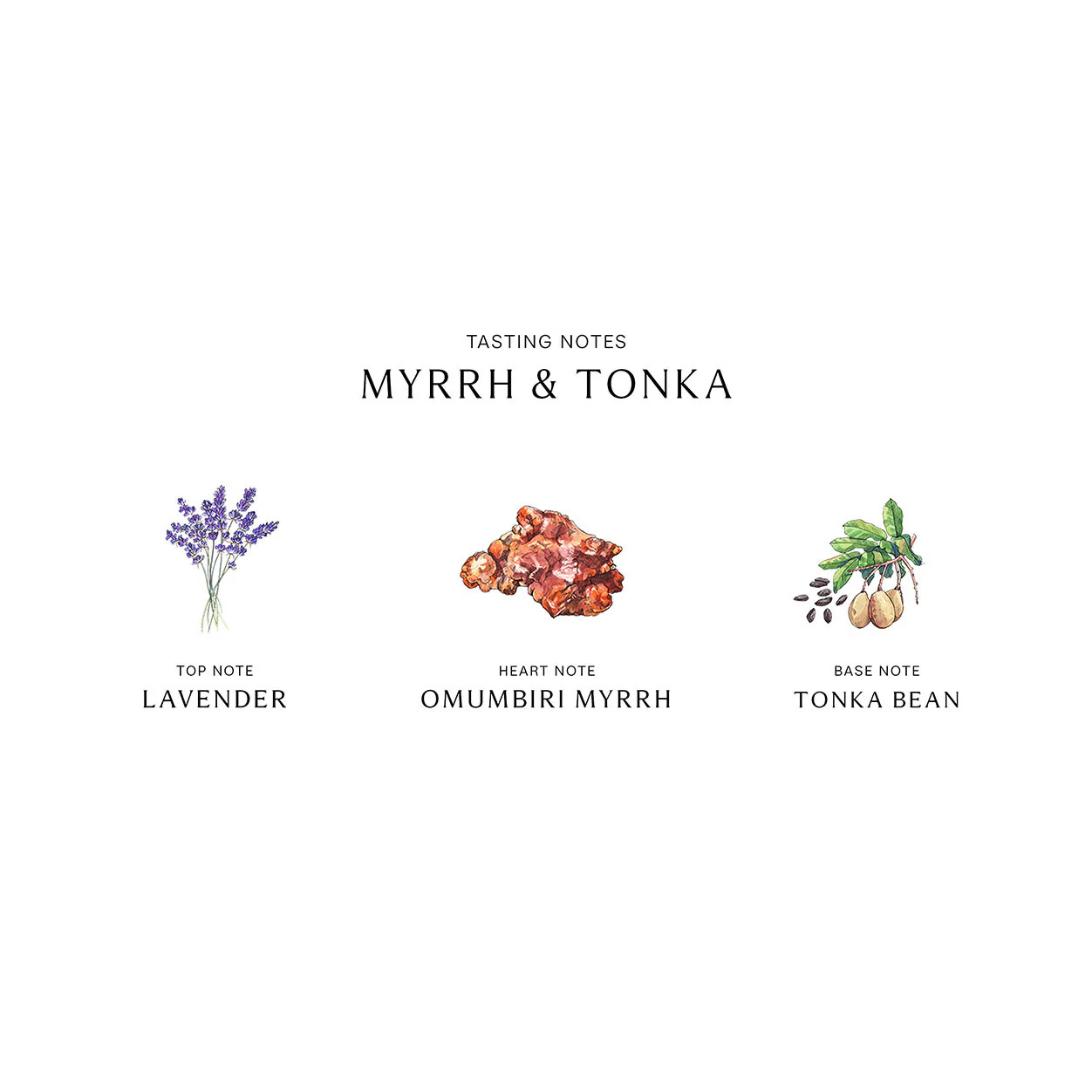 Myrrh and Tonka Home Candle - Image 4