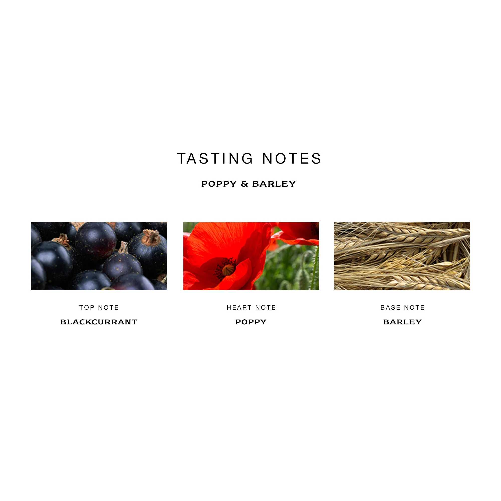 Poppy and Barley Cologne - Image 3