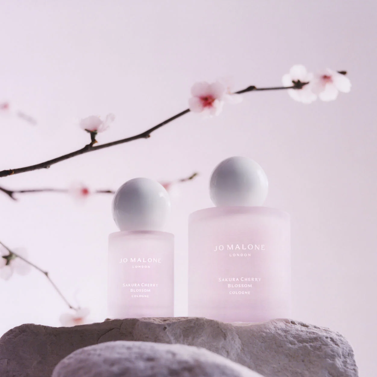 Sakura Cherry Blossom Cologne - Image 3