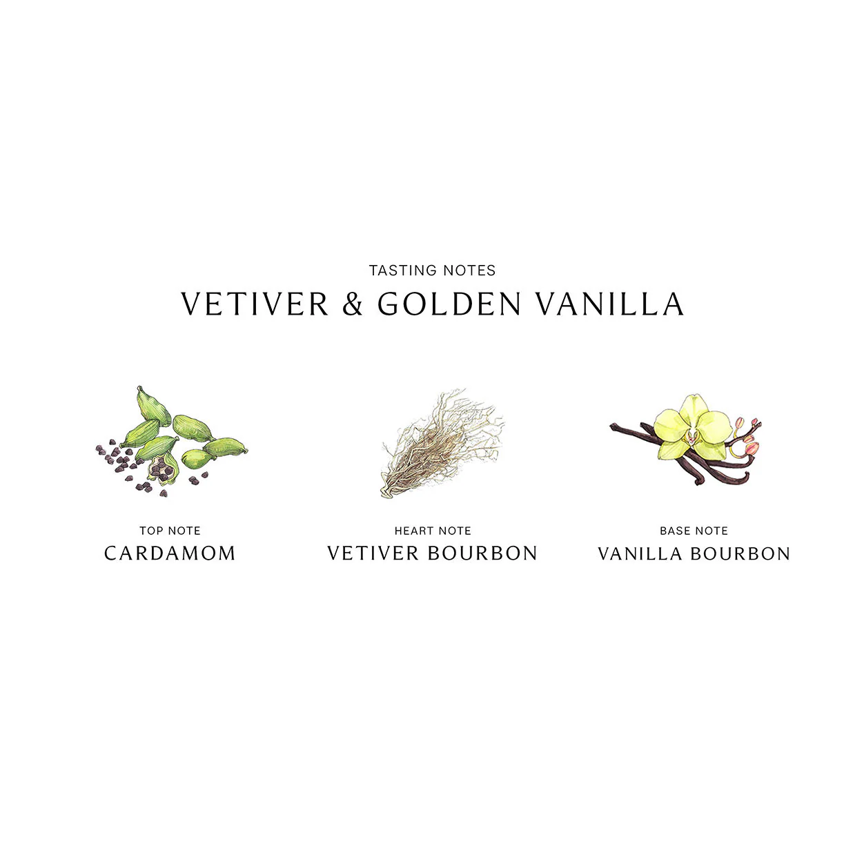 Vetiver and Golden Vanilla Cologne Intense - Image 4