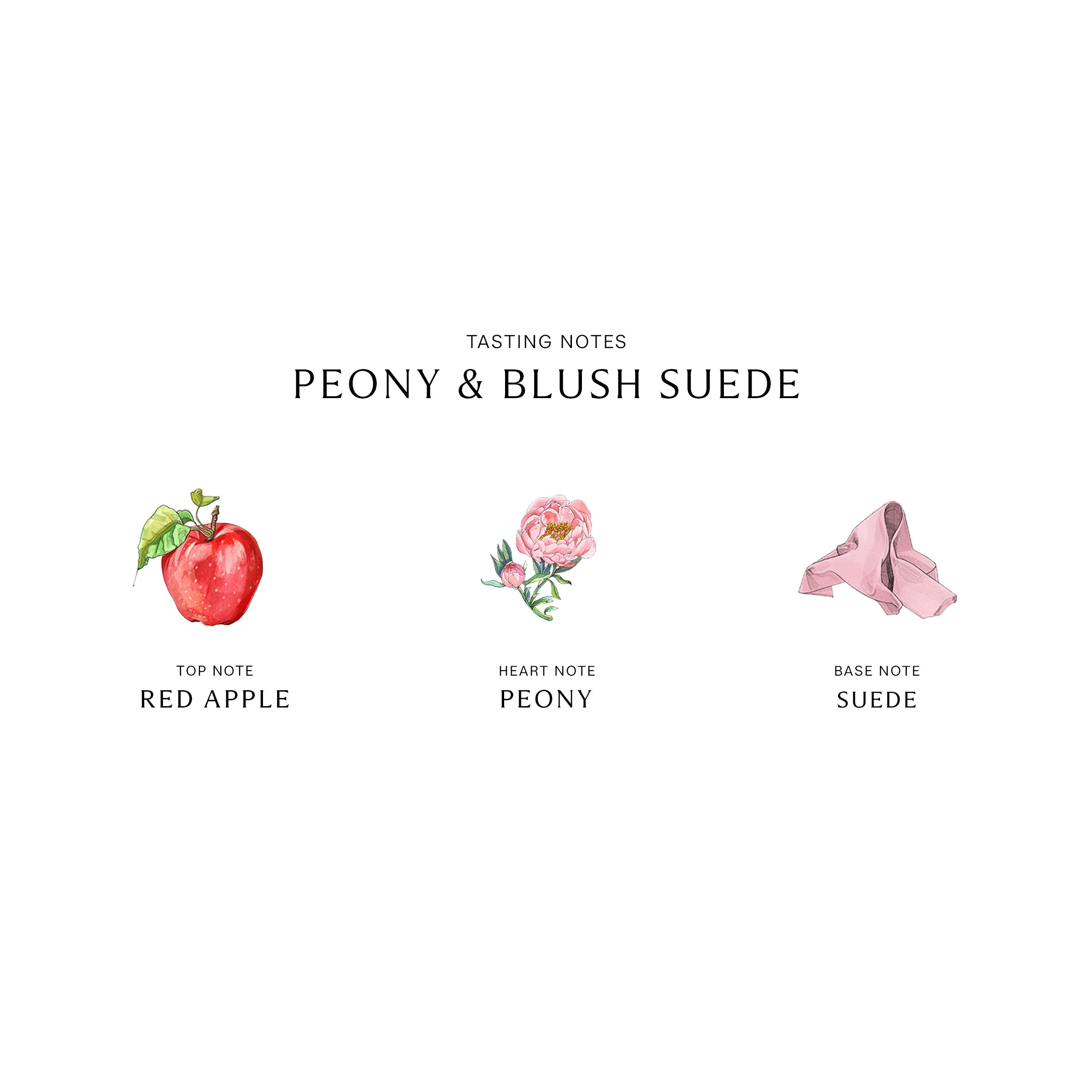 Peony and Blush Suede Cologne - Image 3