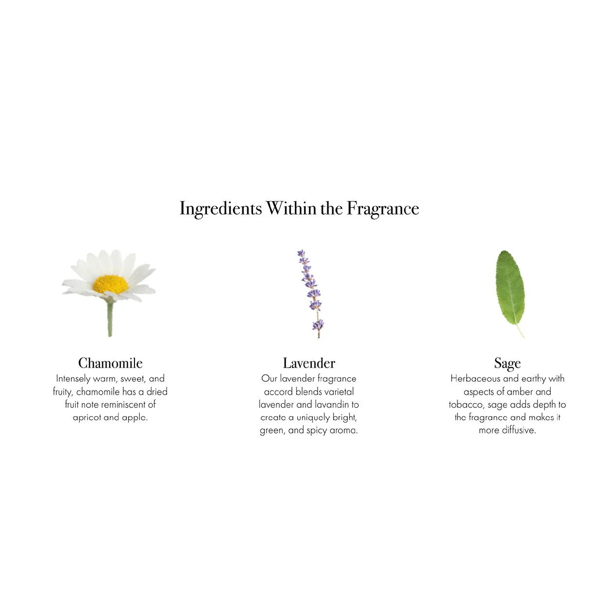 Chamomile Lavender Candle - Image 27
