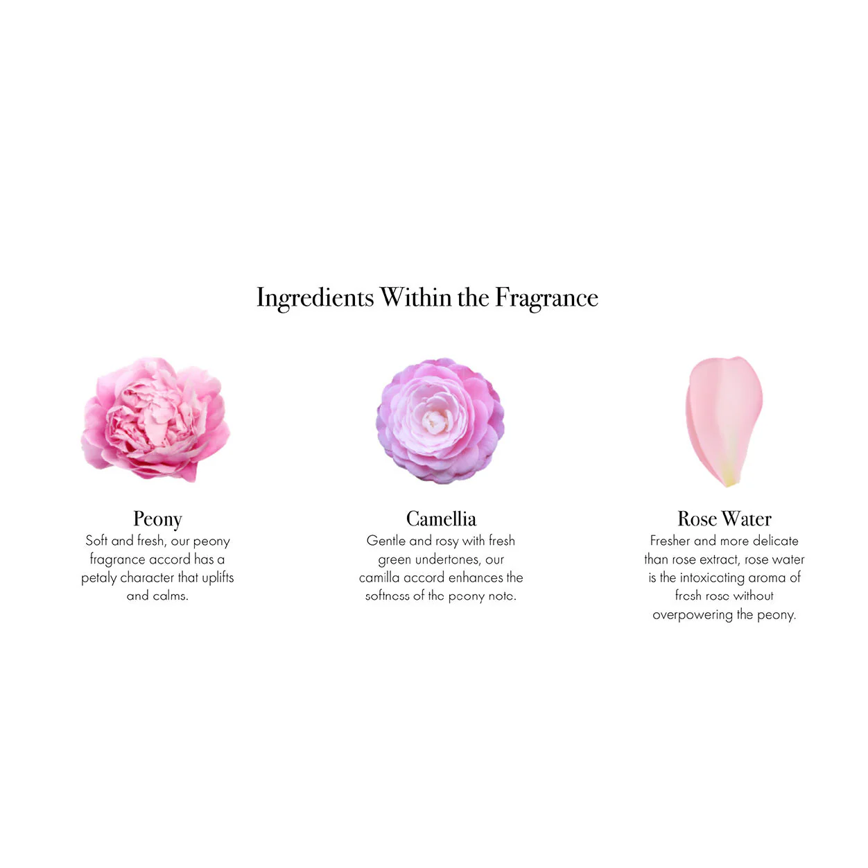 Duchess Peony Signature Candle - Image 7