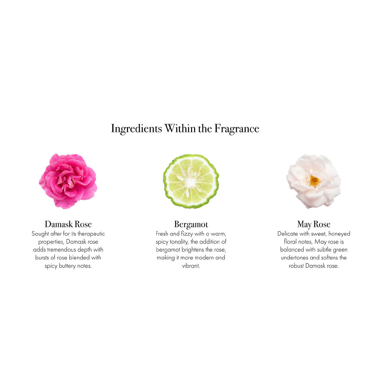Blush Rose Signature Candle - Image 6