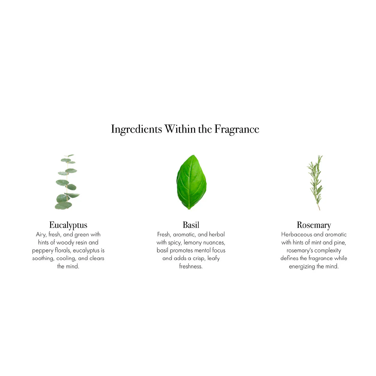 Rosemary Eucalyptus Candle - Image 14