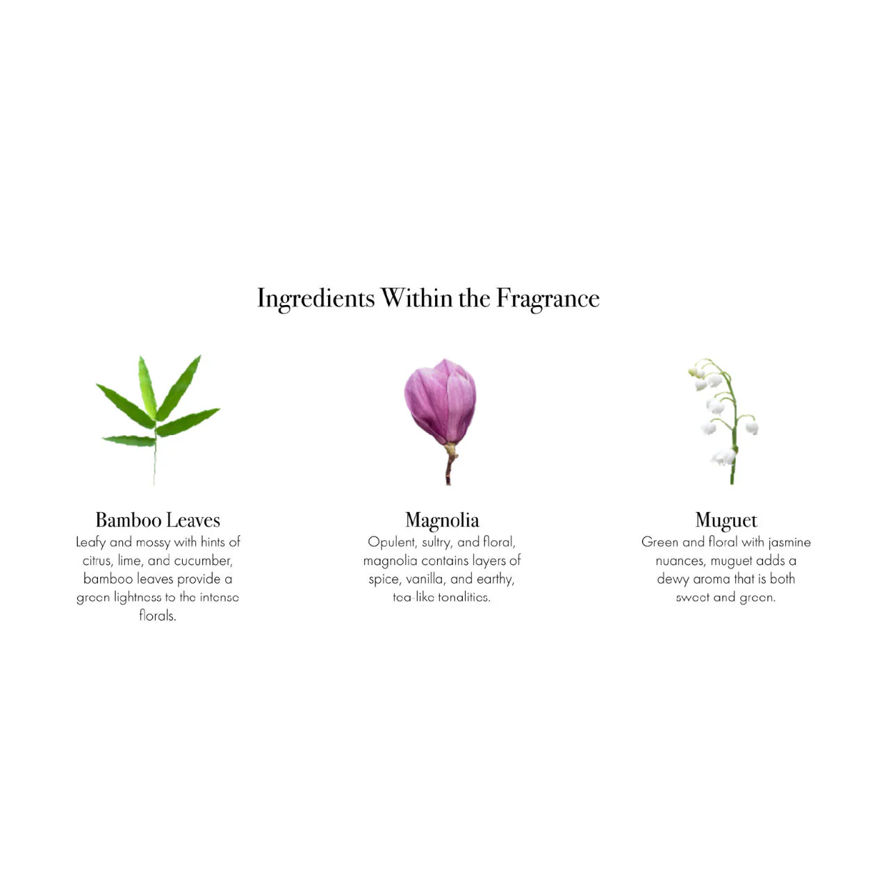 Star Magnolia Candle - Image 11