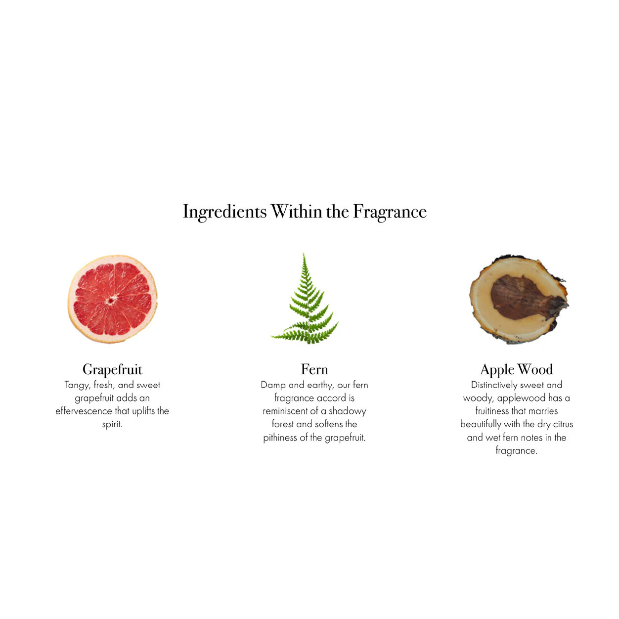 White Grapefruit Candle - Image 8