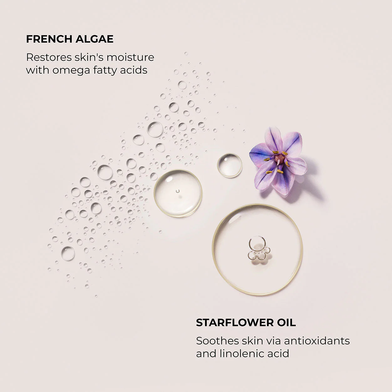 Almond Coconut Serum Body Cream - Image 4