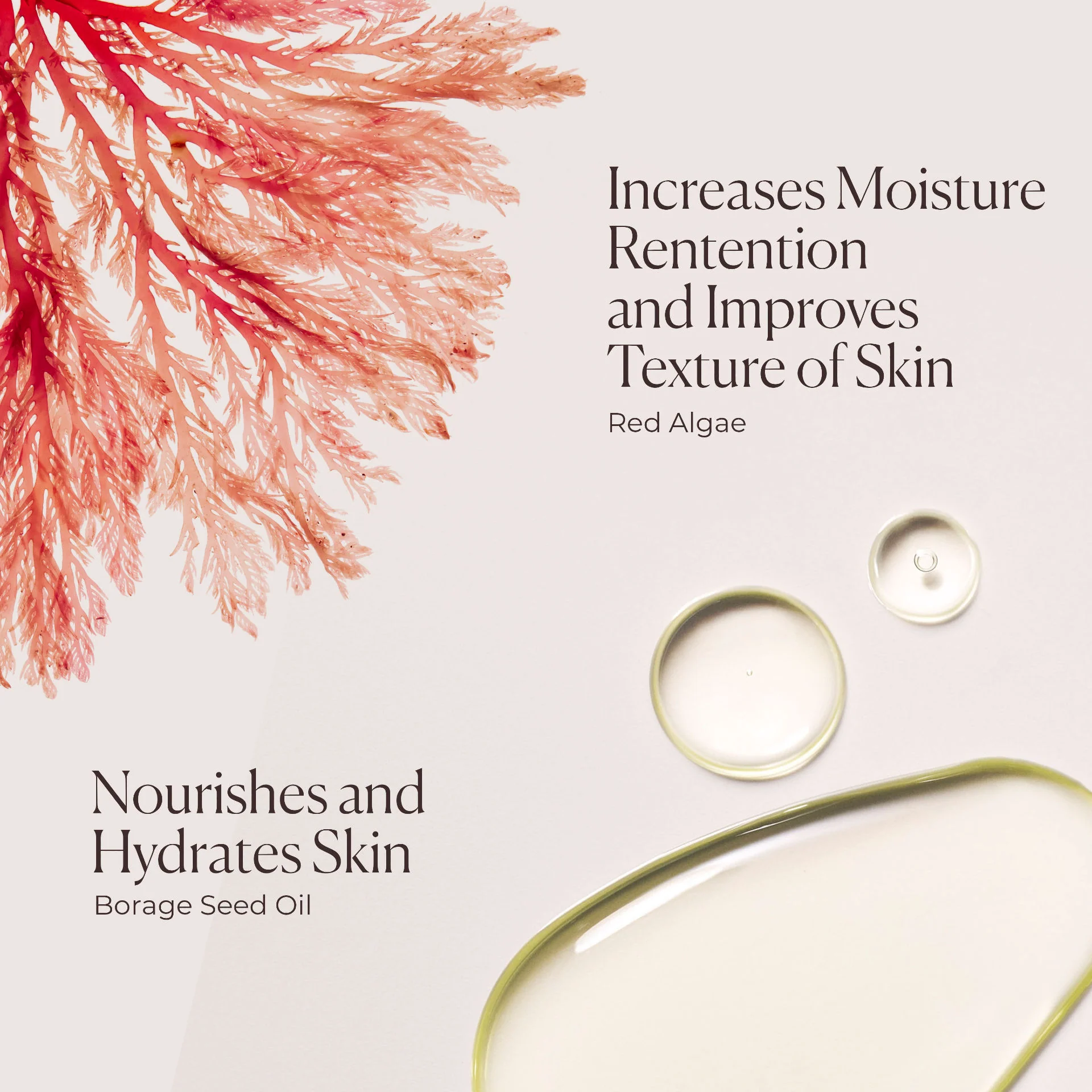 Honey Bath - Image 6
