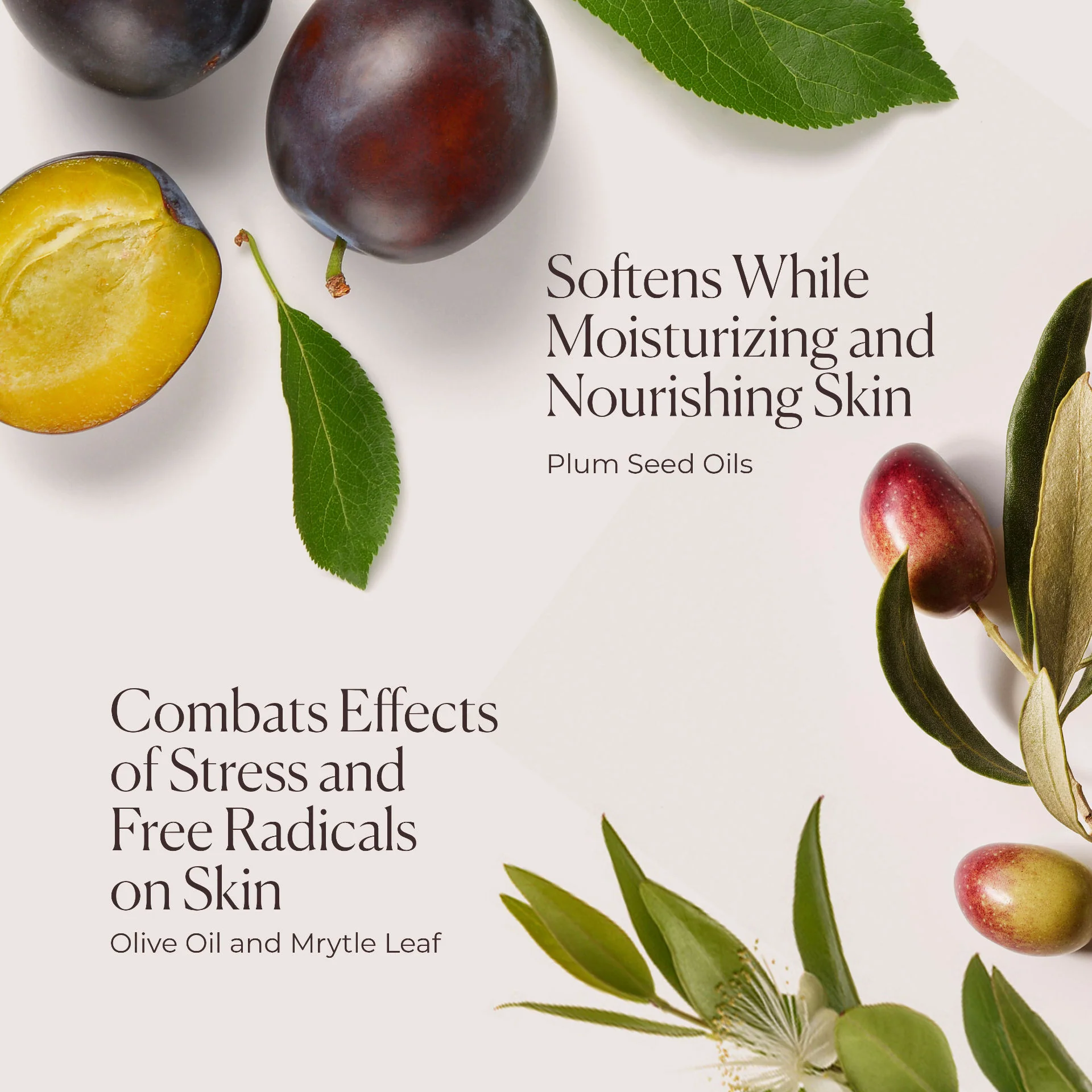 Hydrating Body Wash Almond Coconut - Image 6