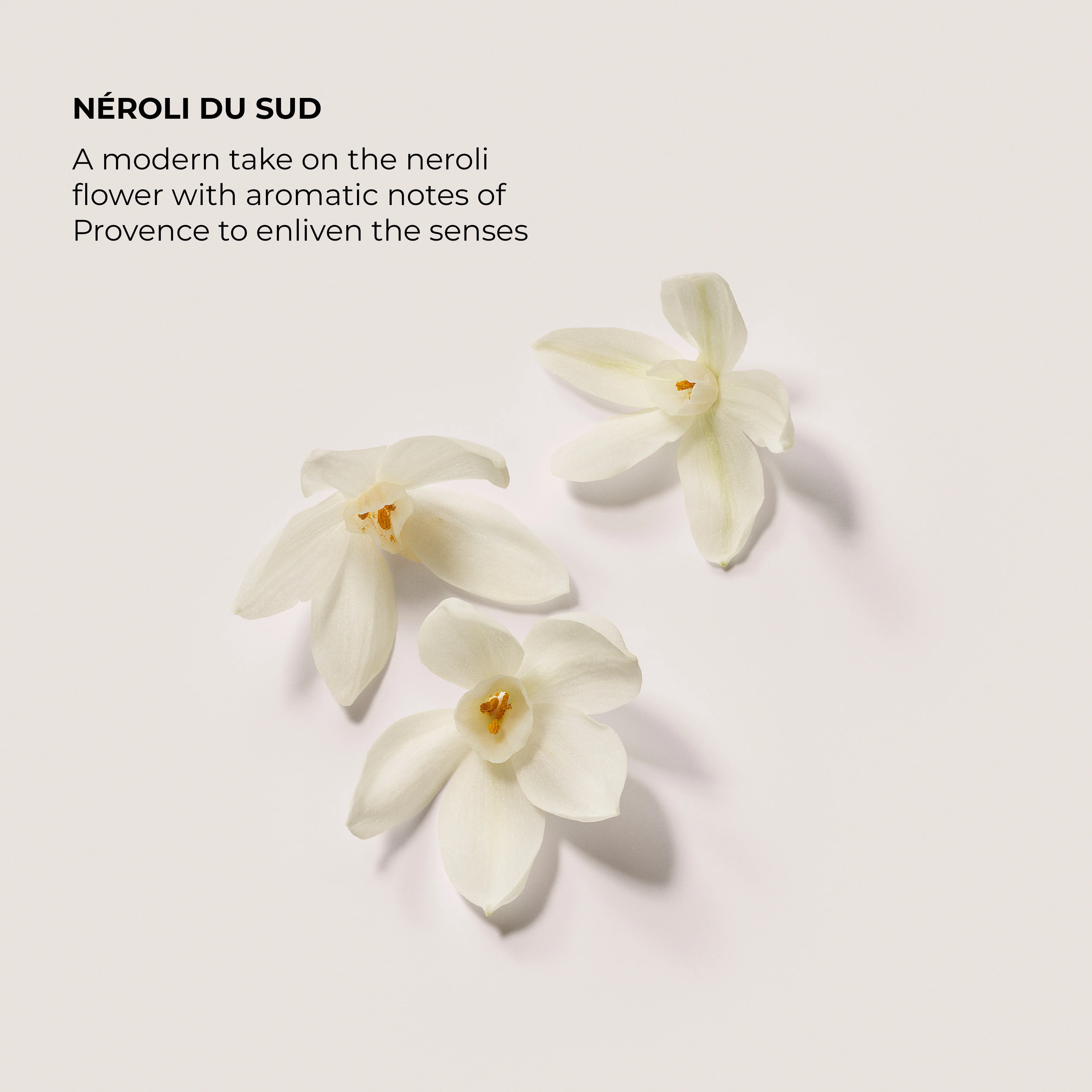 Néroli du Sud Aromatic Bath and Body Oil - Image 5