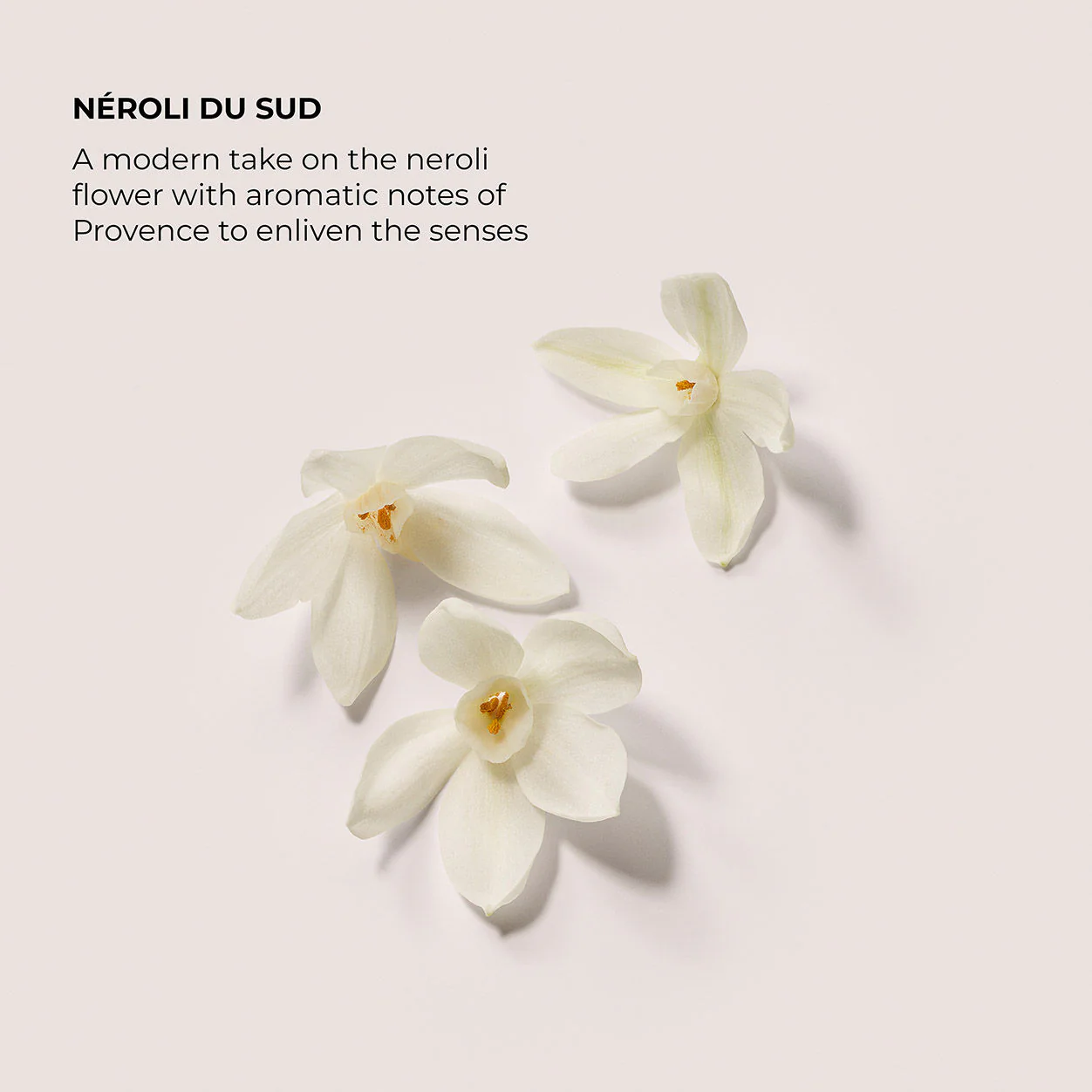 Néroli du Sud Exfoliating Body Wash - Image 5