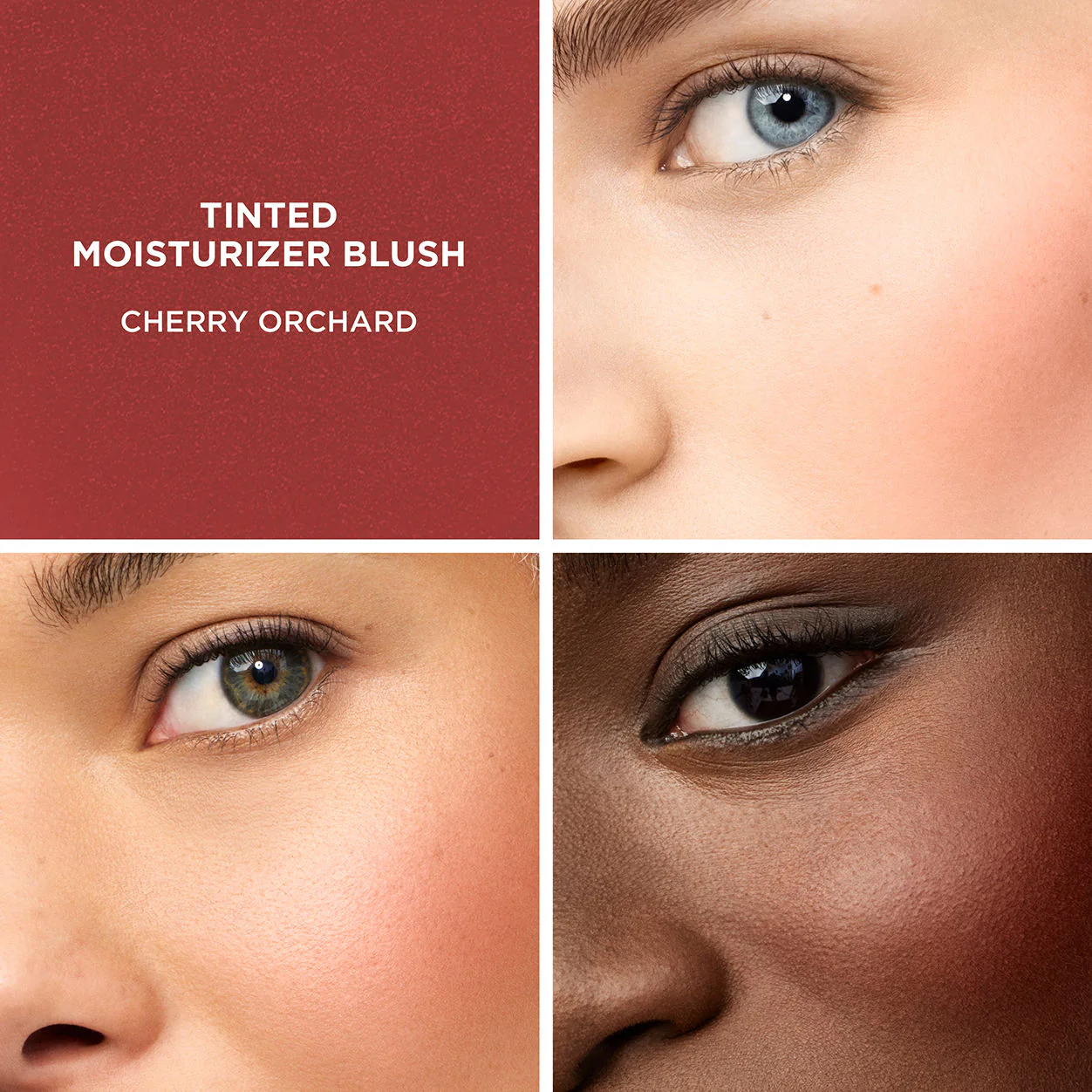Tinted Moisturizer Blush - Image 30