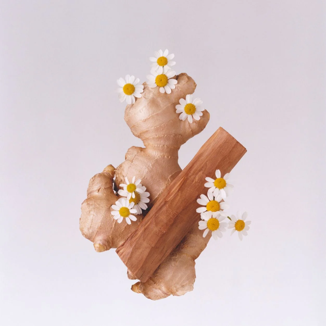 Tudor Eau De Parfum - Image 5
