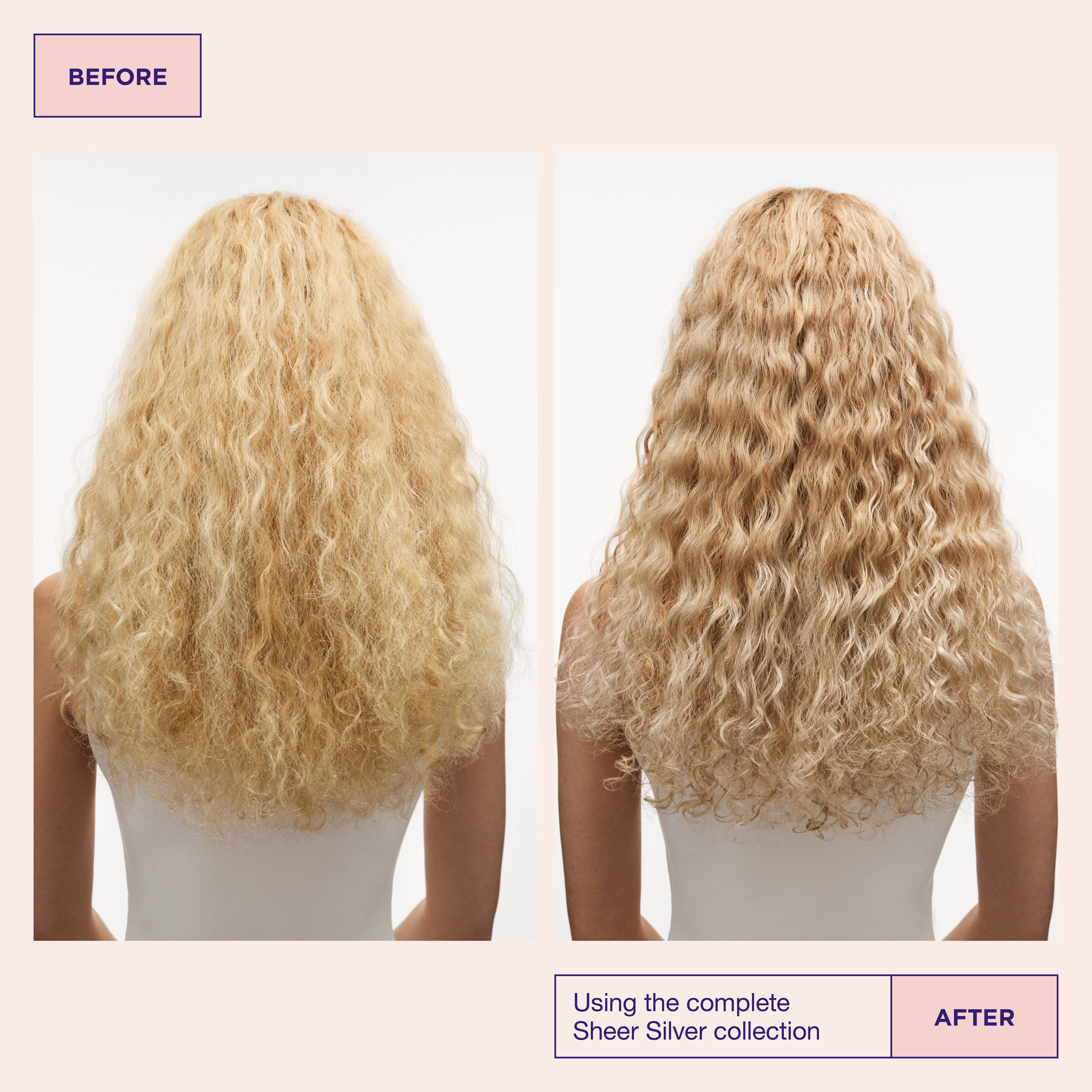 Sheer Silver Shampoo - Image 4